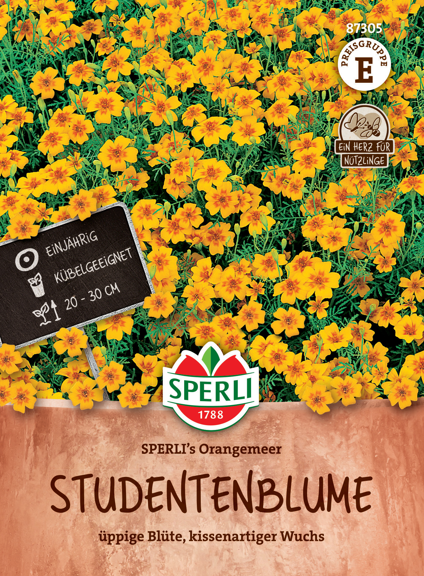 Studentenblume SPERLI's Orangemeer