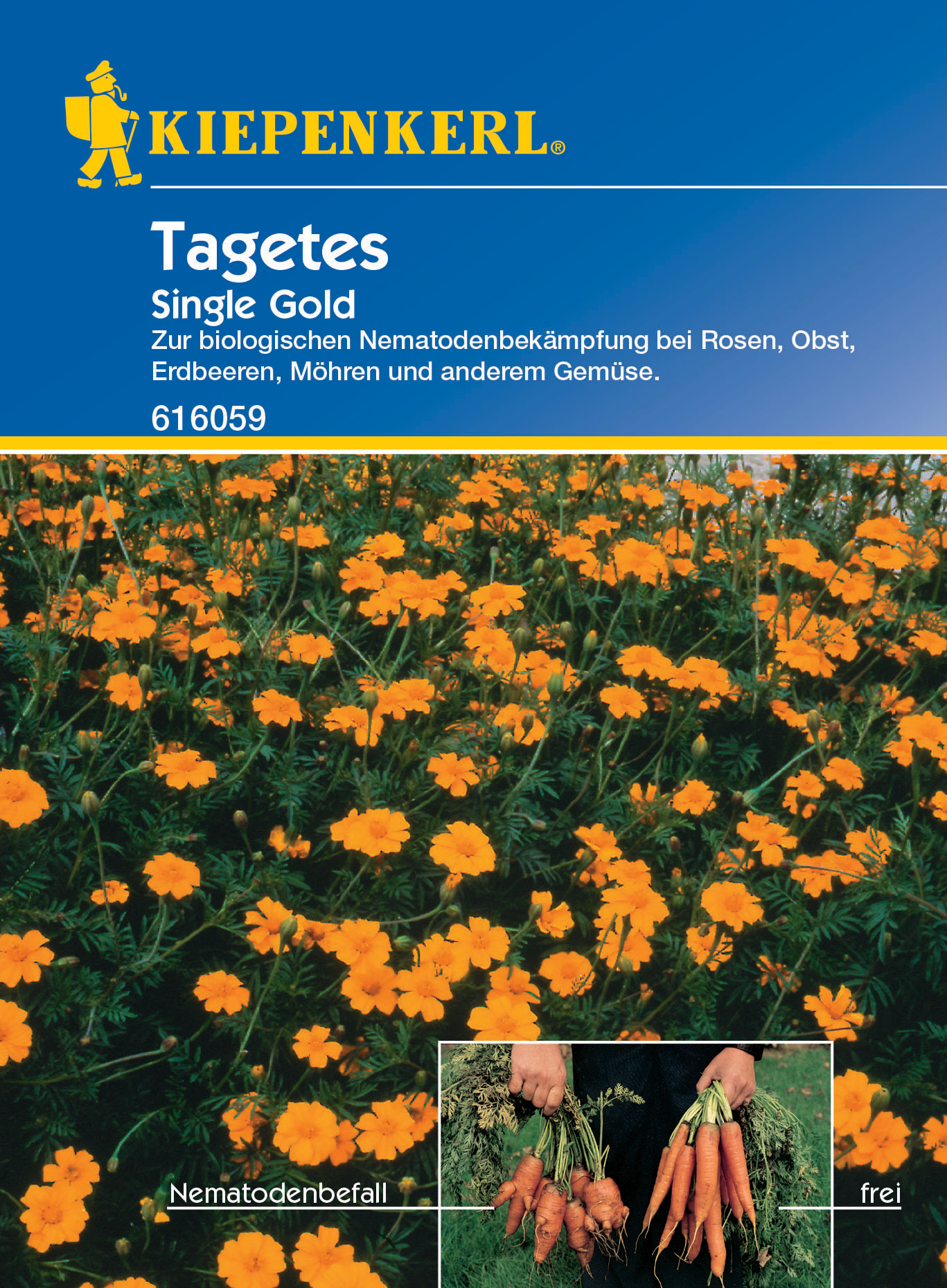 Tagetes Single Gold, 6g