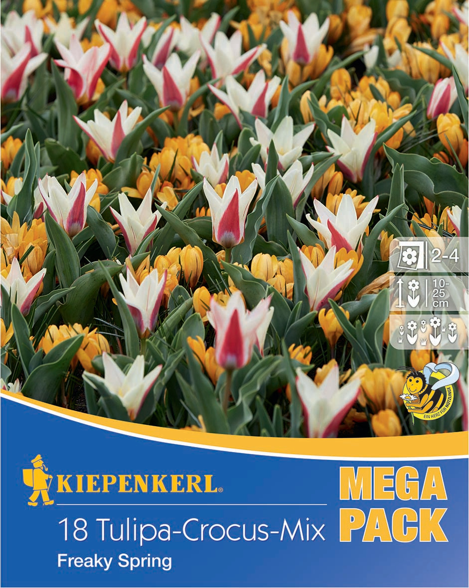 Mega-Pack Tulpen-Krokus Mix Freaky Spring
