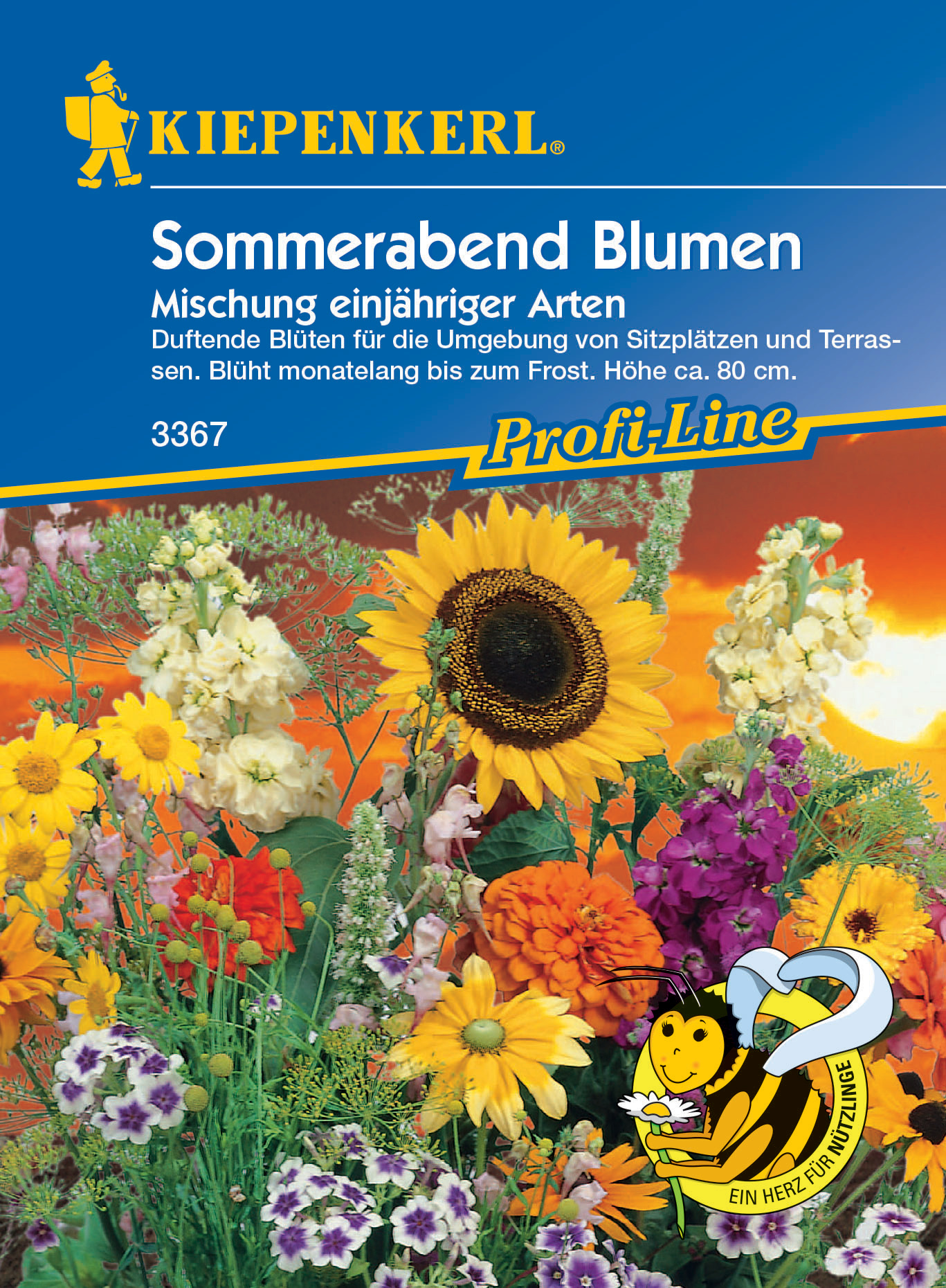 Blumenmischung Sommerabend Blumen