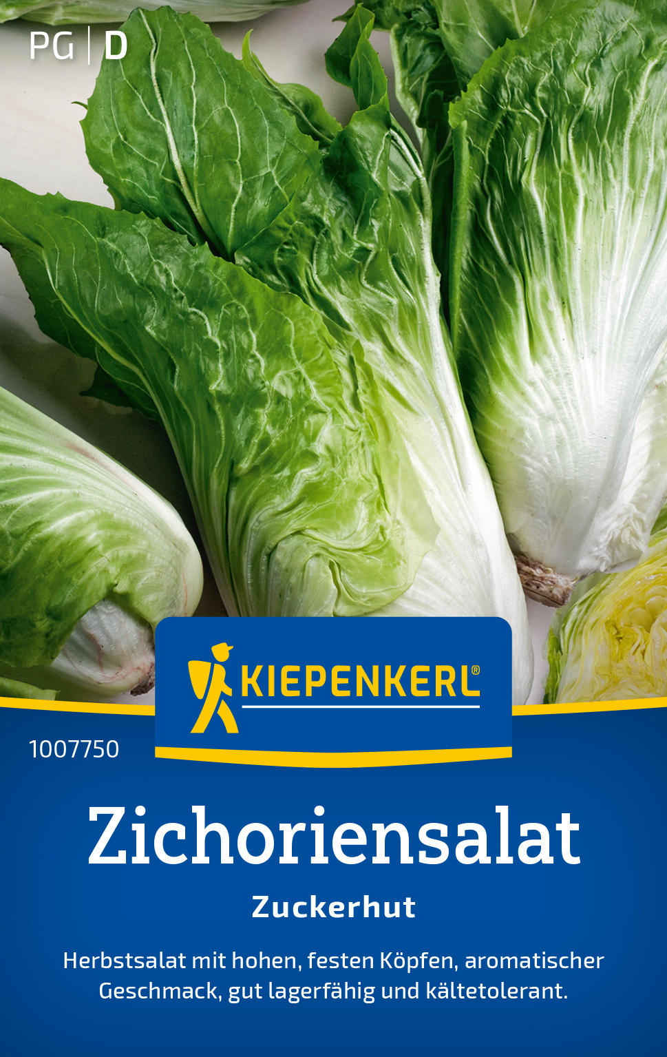 Zichoriensalat Zuckerhut