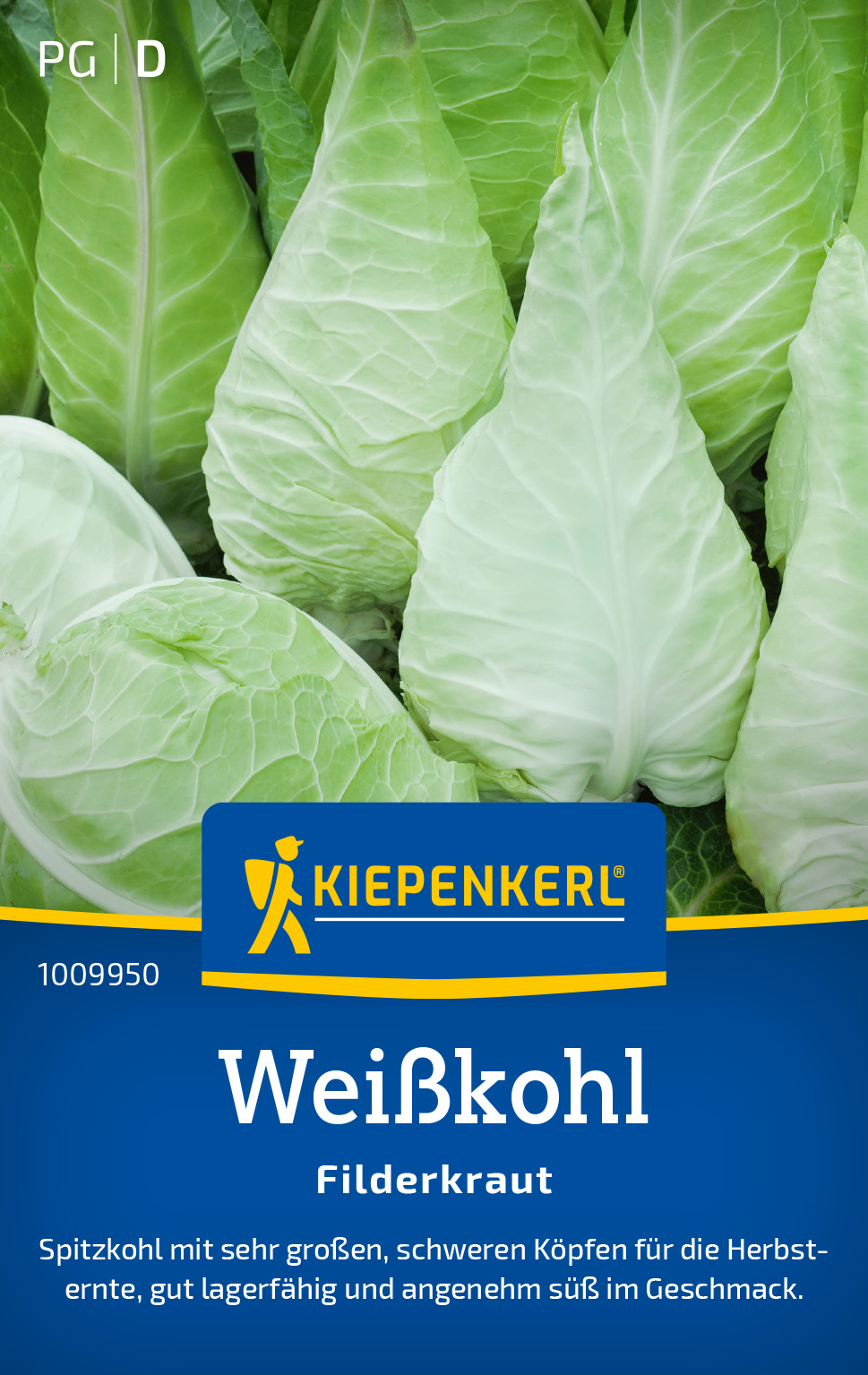 Weißkohl Filderkraut