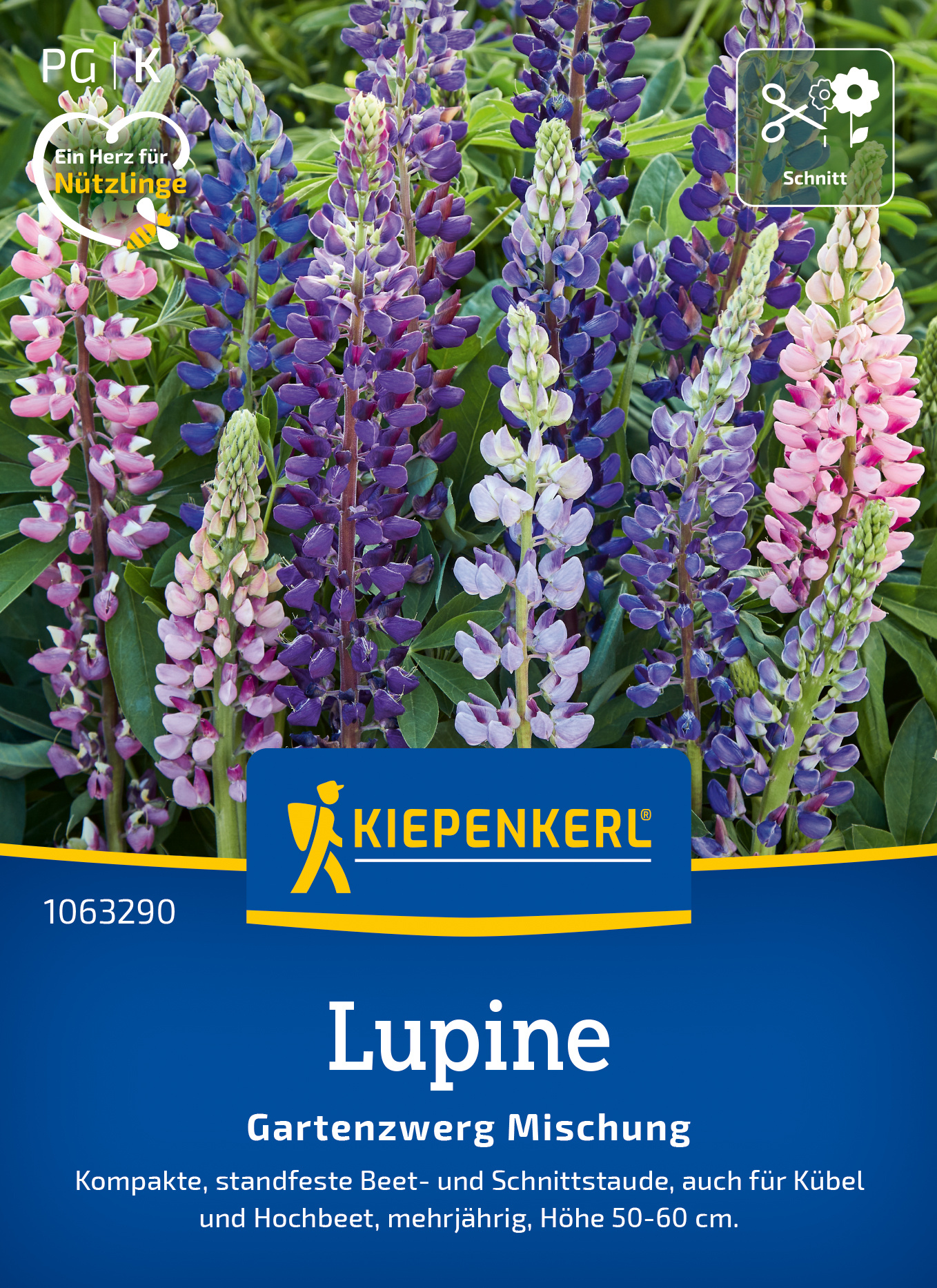 Lupine Gartenzwerg Mischung