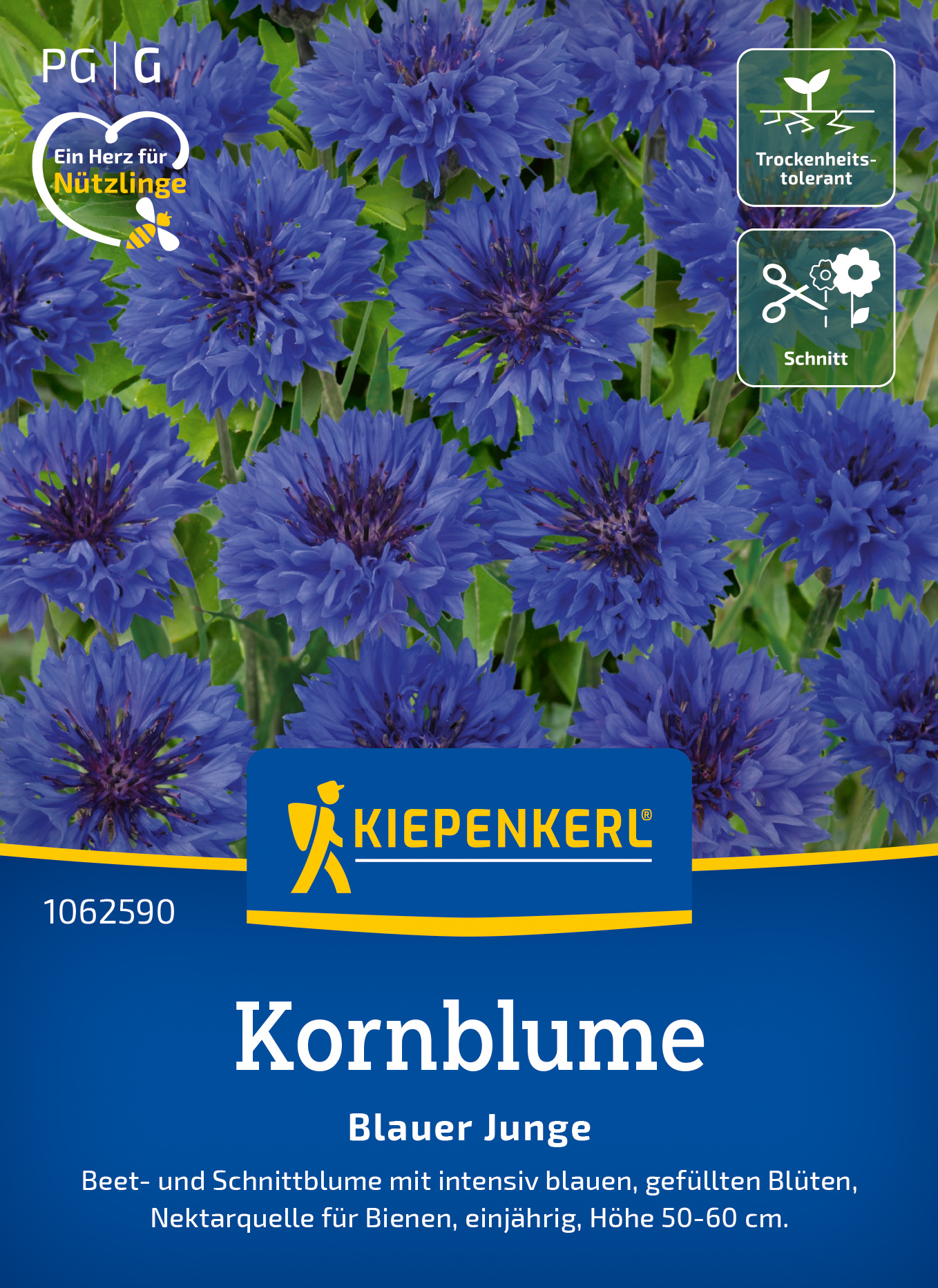 Kornblume Blauer Junge