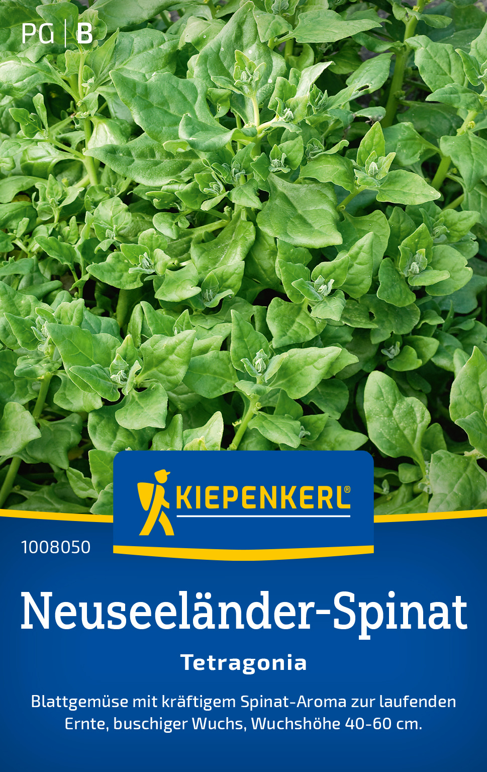 Neuseeländer-Spinat Tetragonia