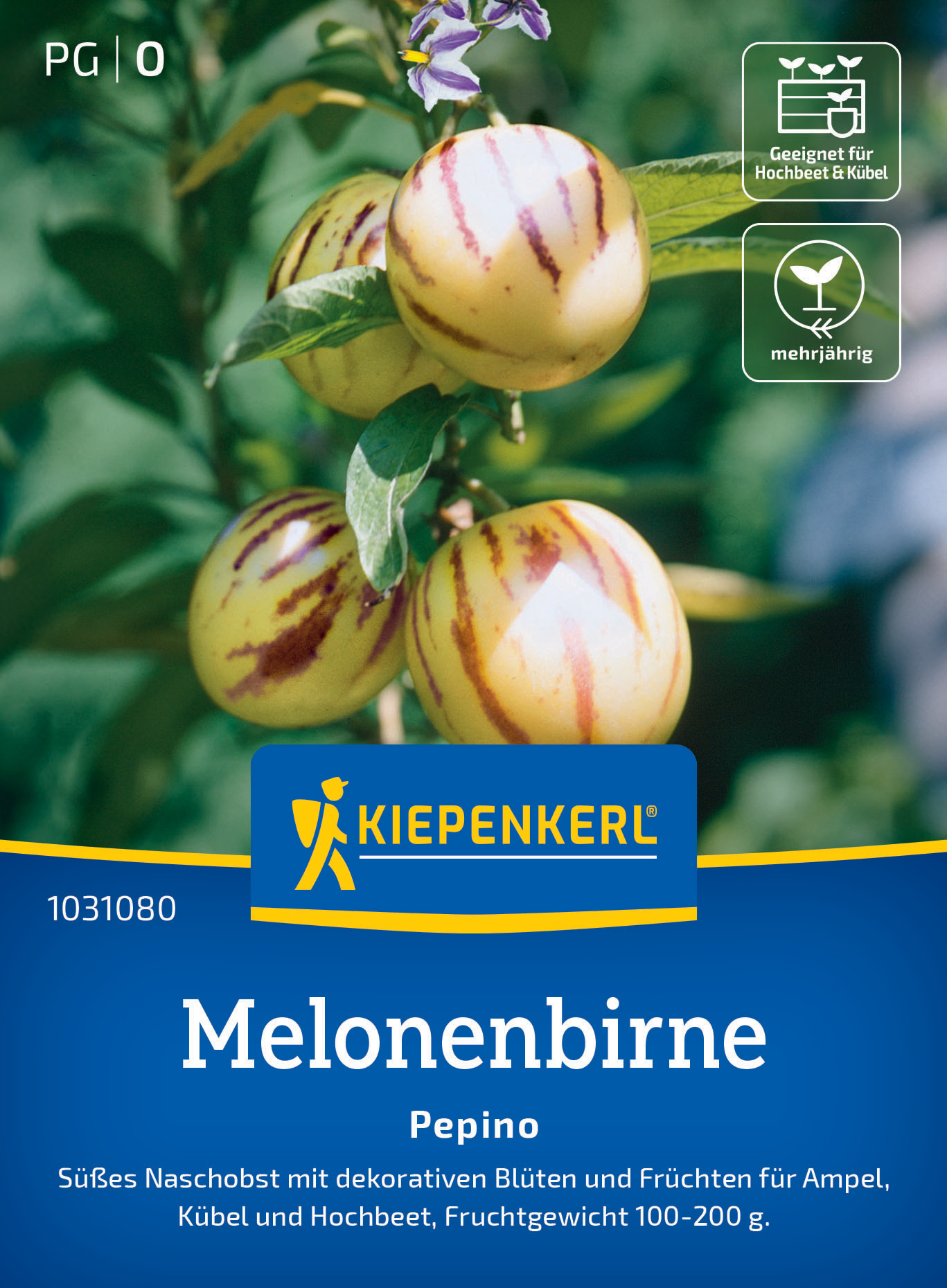 Pepino Melonenbirne