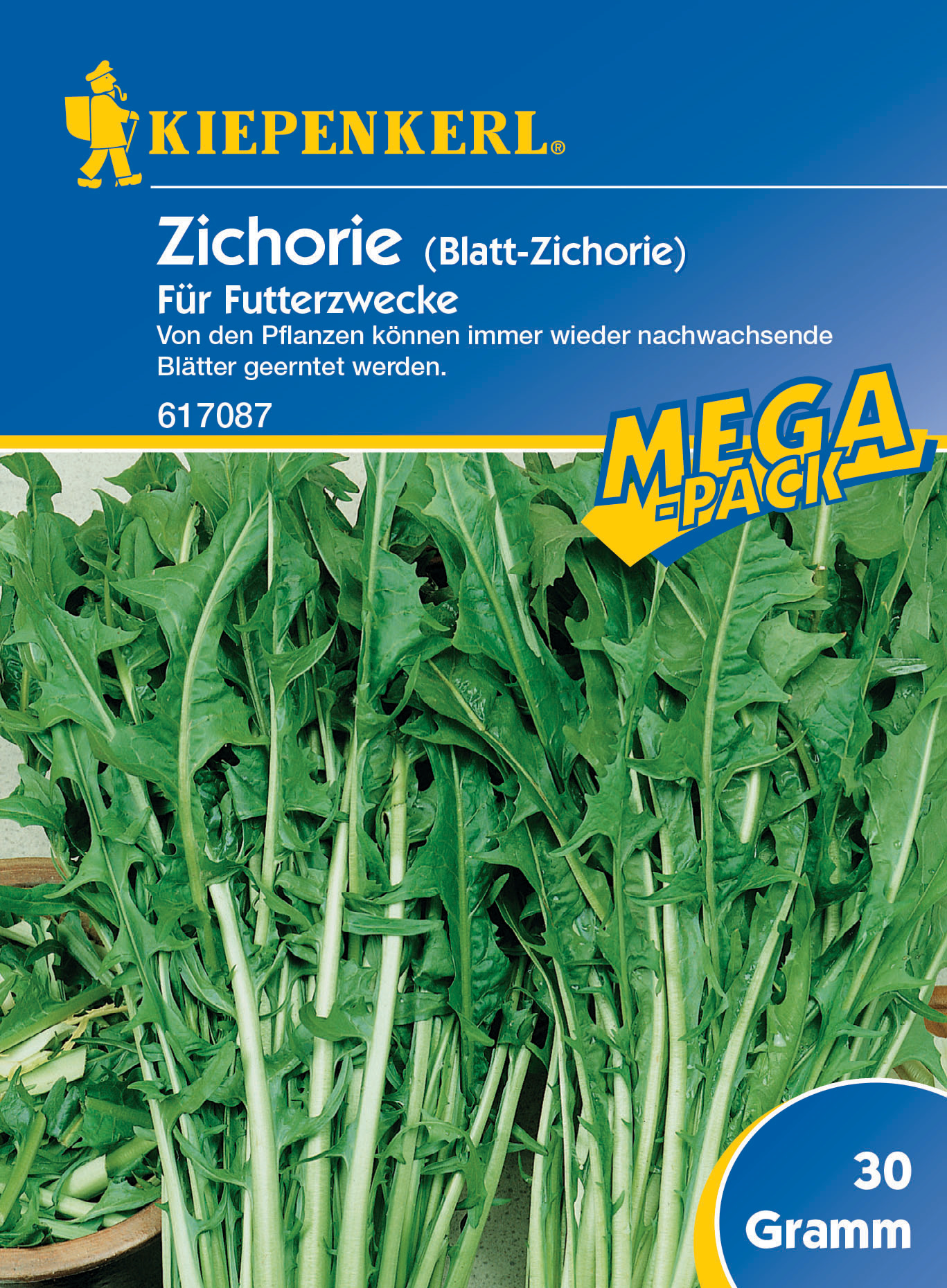 Zichorie für Futterzwecke, 30 g