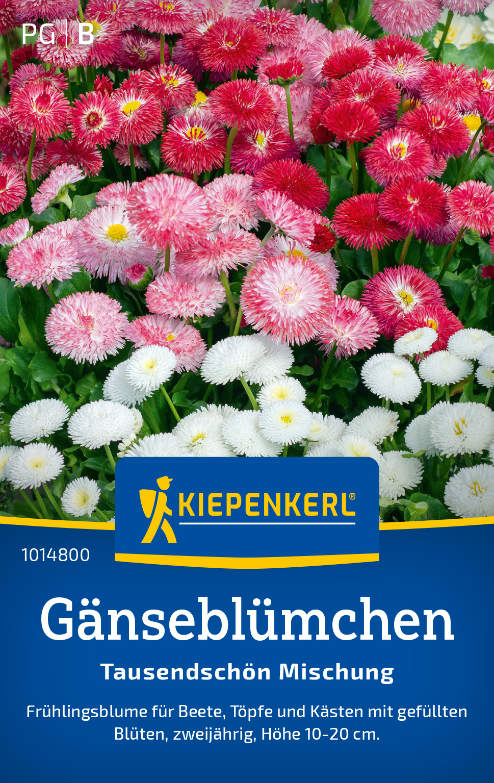 Gänseblümchen Tausendschön Mischung