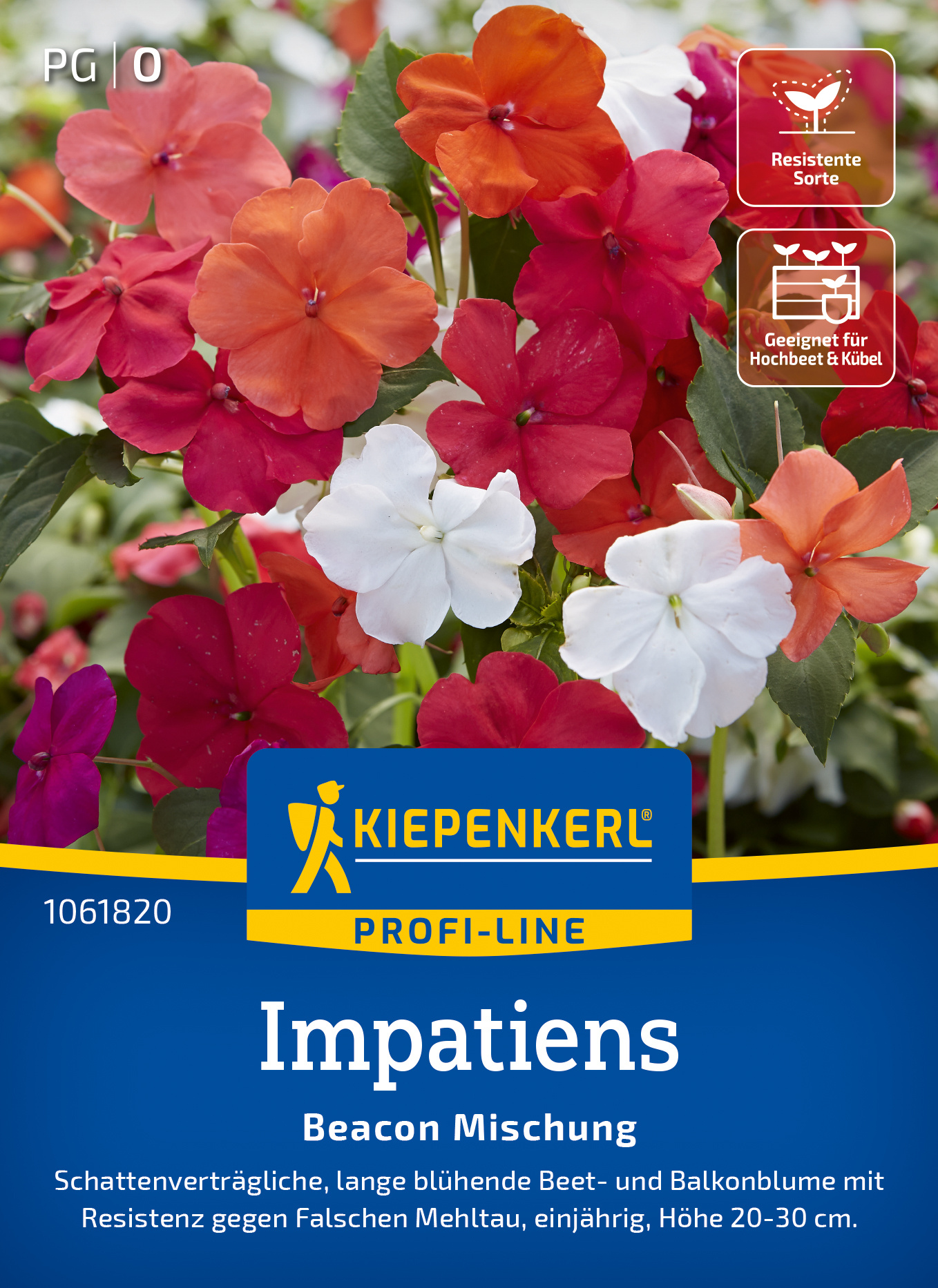 Impatiens Beacon Mischung, F1