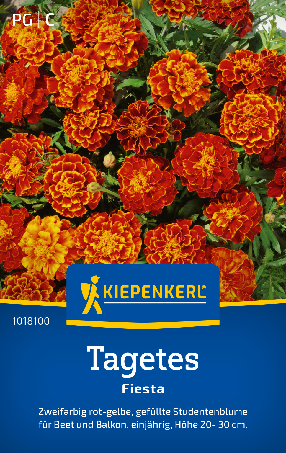 Tagetes Fiesta