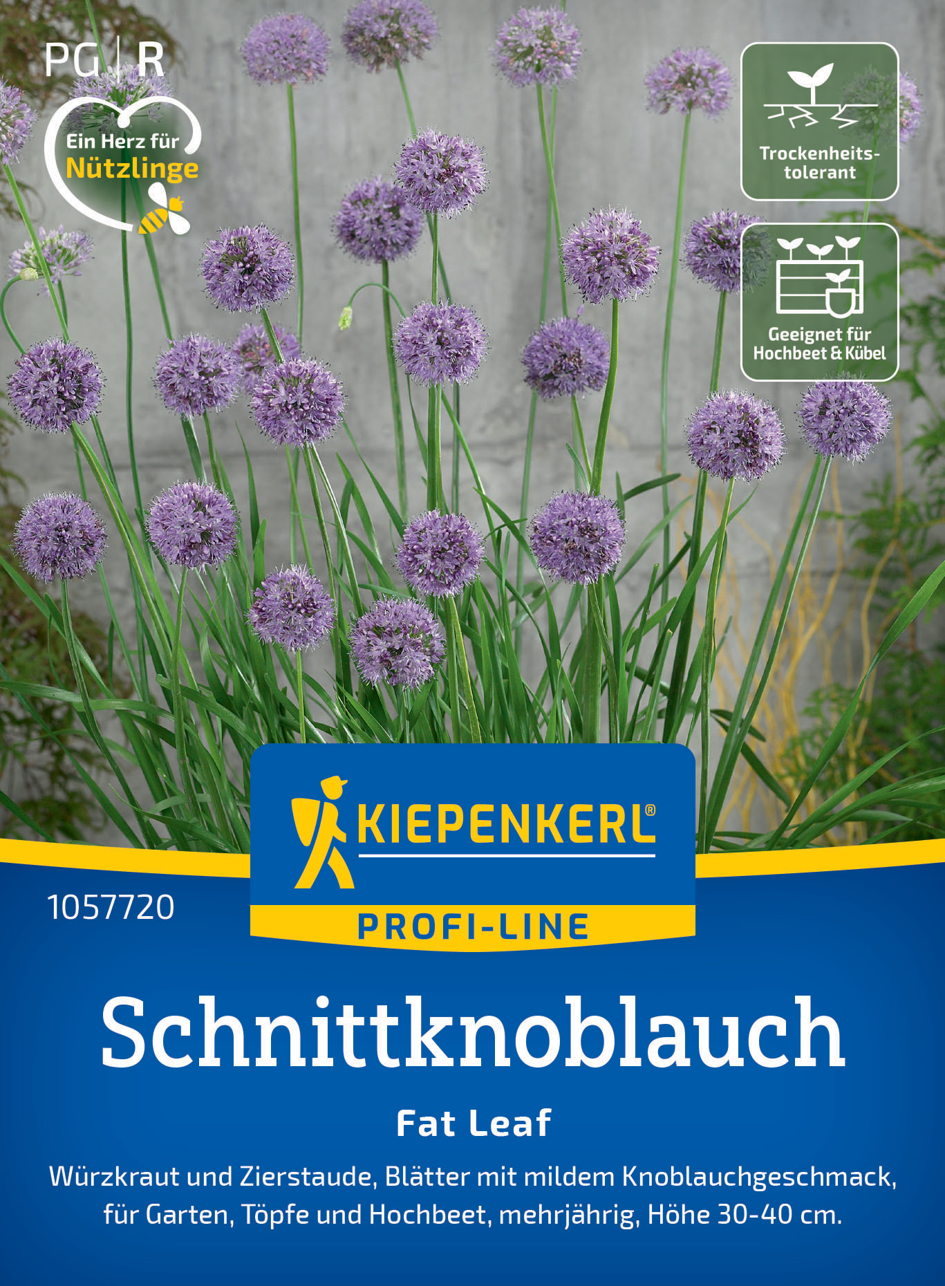 Schnittknoblauch Fat Leaf, F1