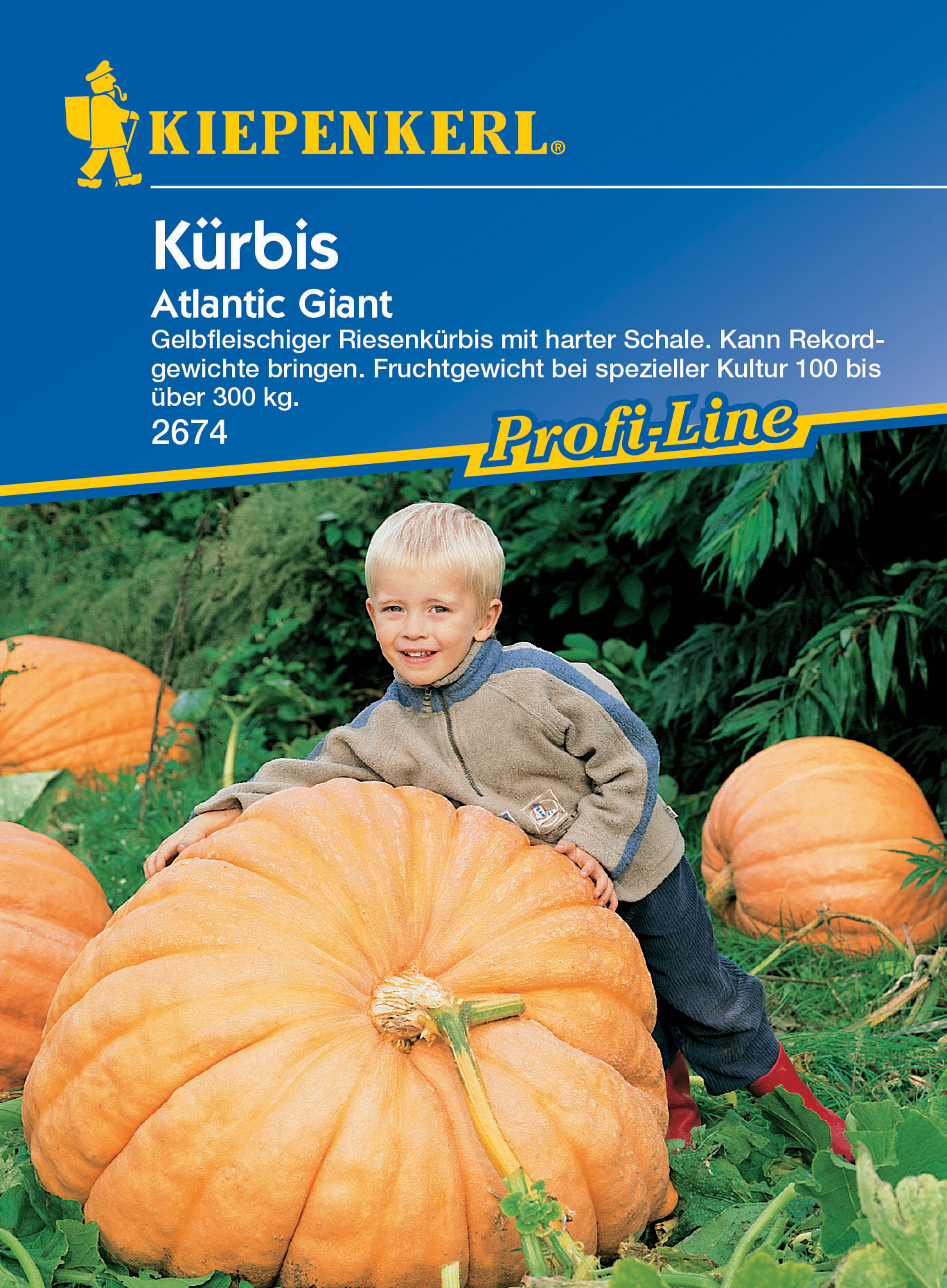 Kürbis Atlantic Giant