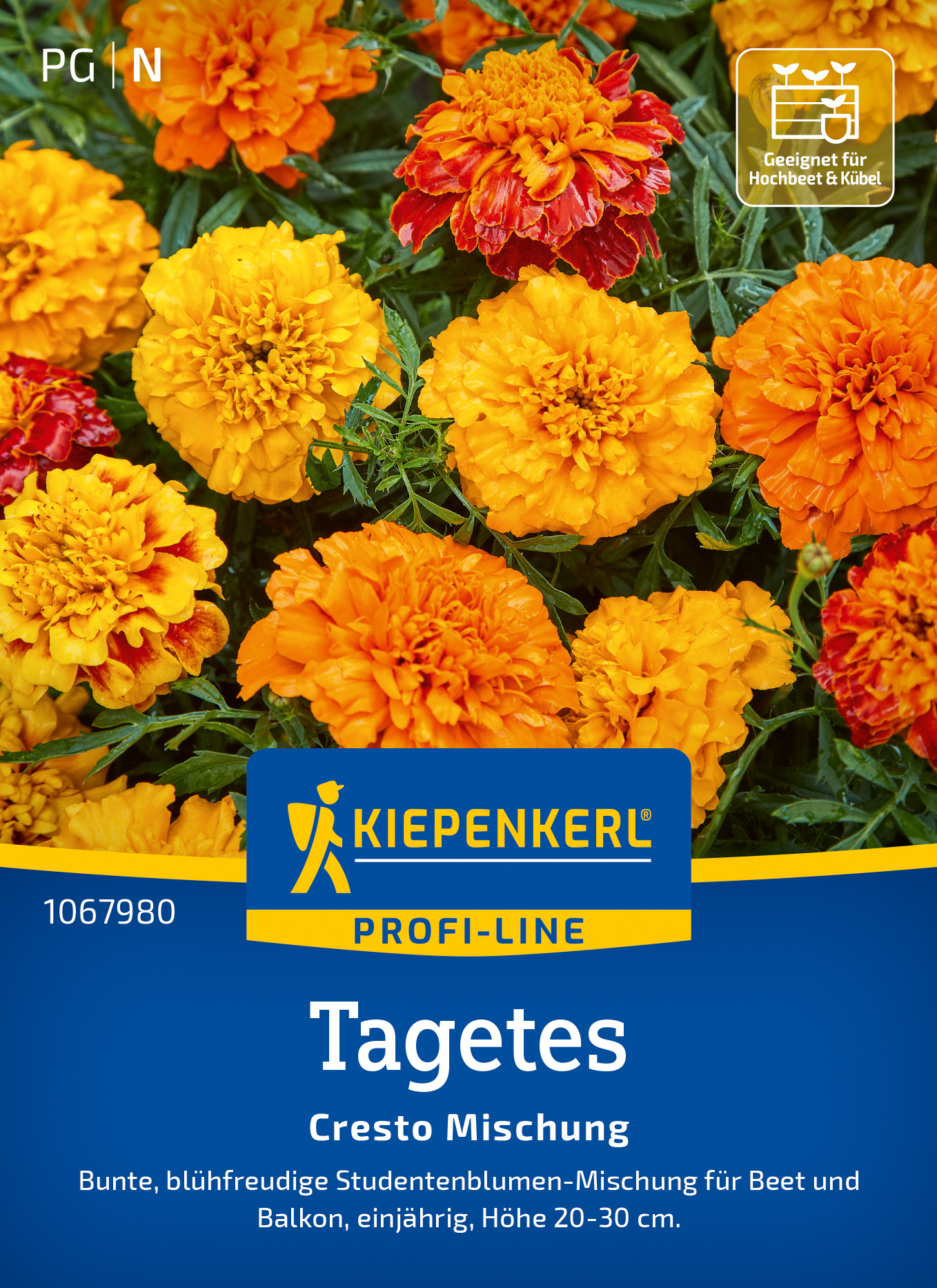 Tagetes Cresto Mischung