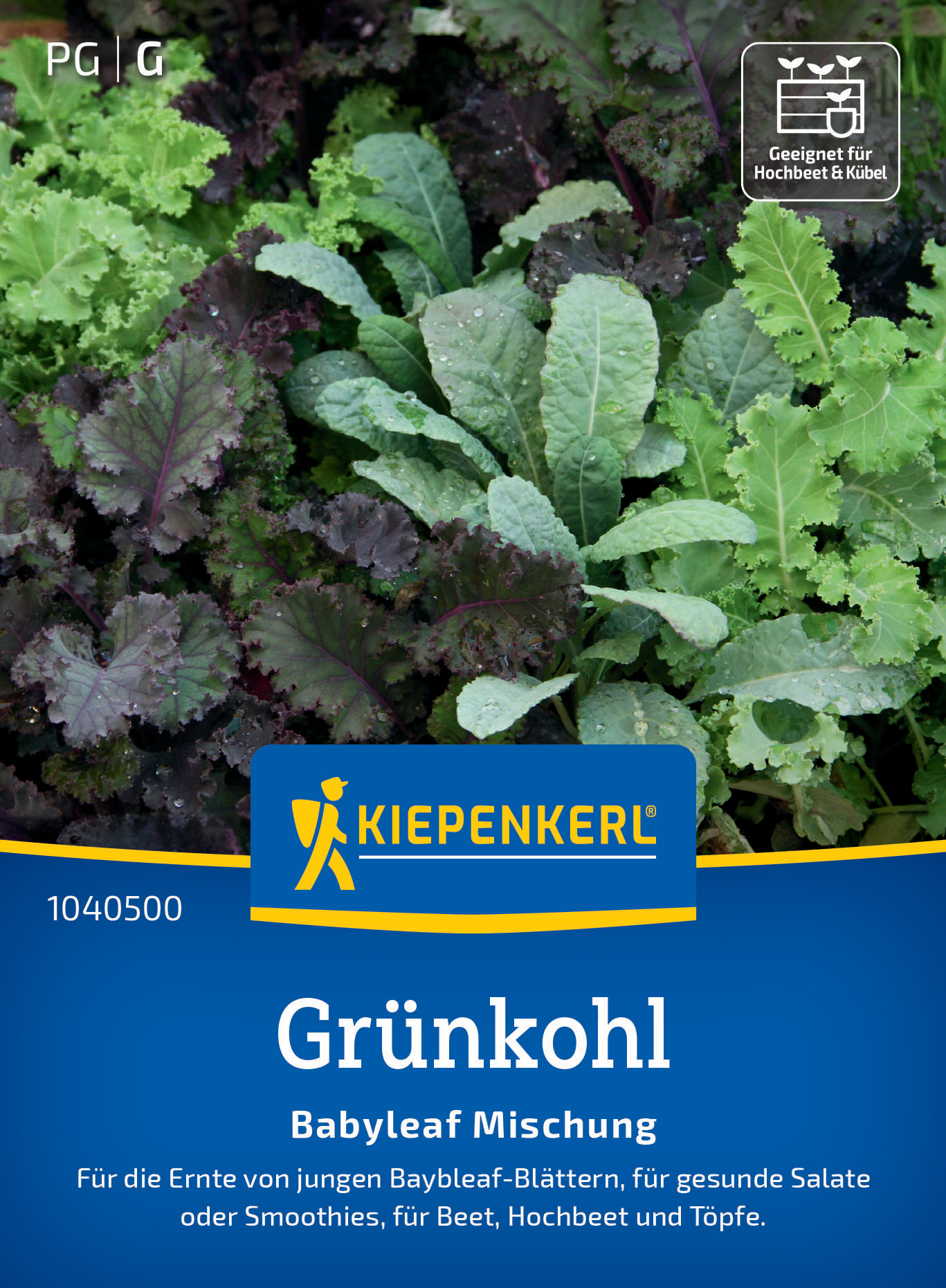 Grünkohl Babyleaf Mischung