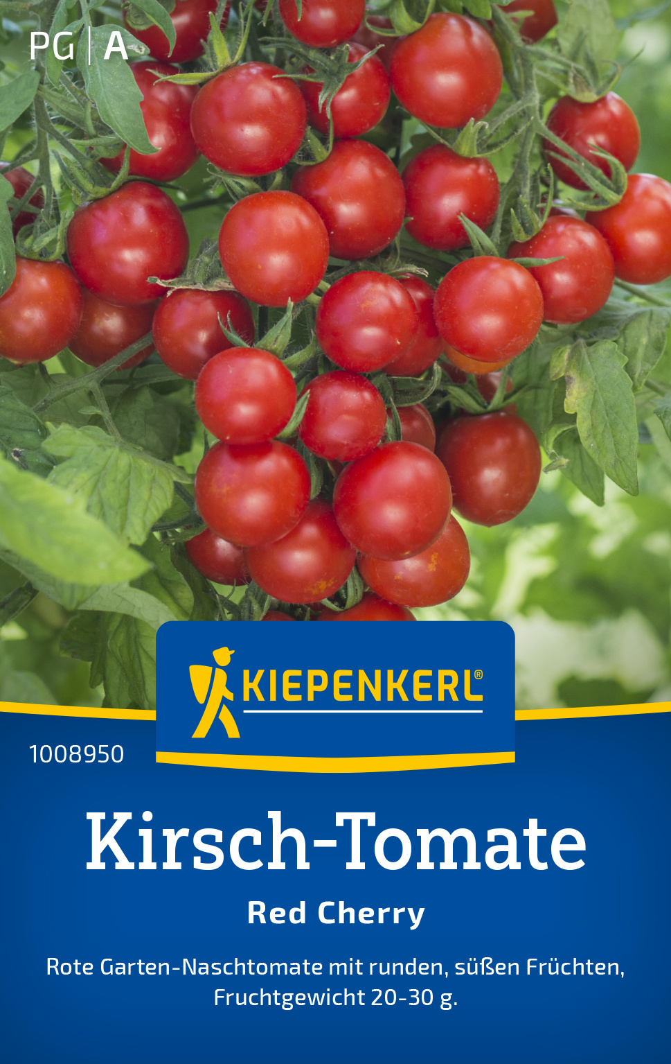 Kirsch-Tomate Red Cherry