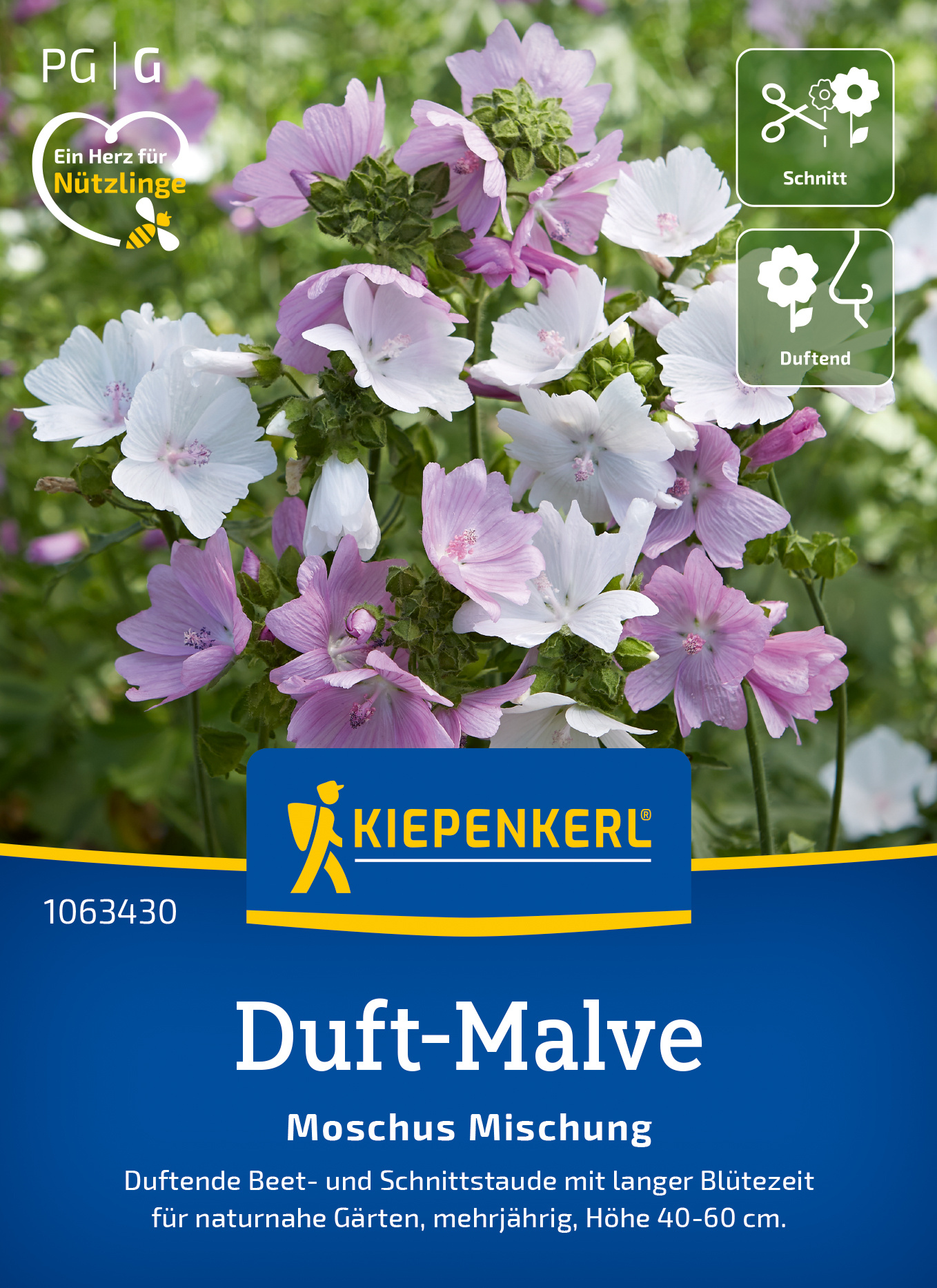 Duft-Malve Moschus Mischung