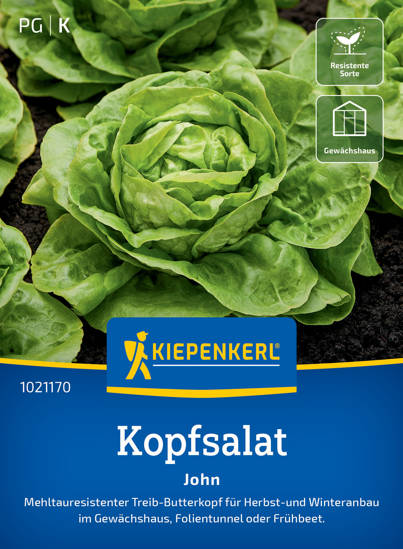 Kopfsalat John