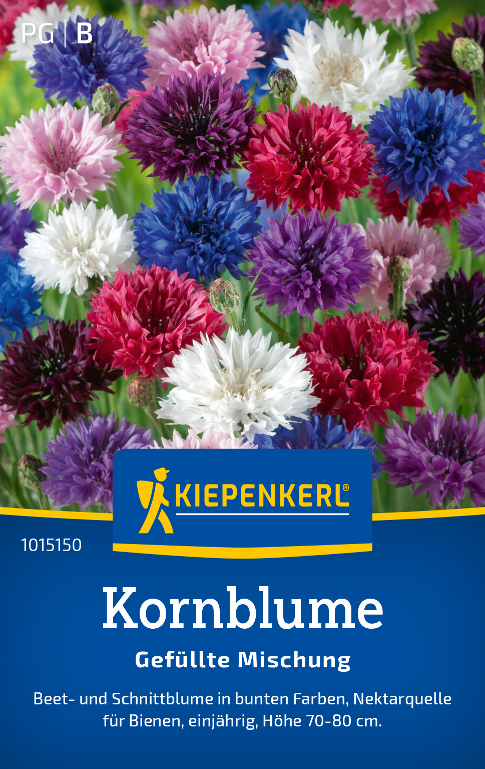 Kornblume Gefüllte Mischung