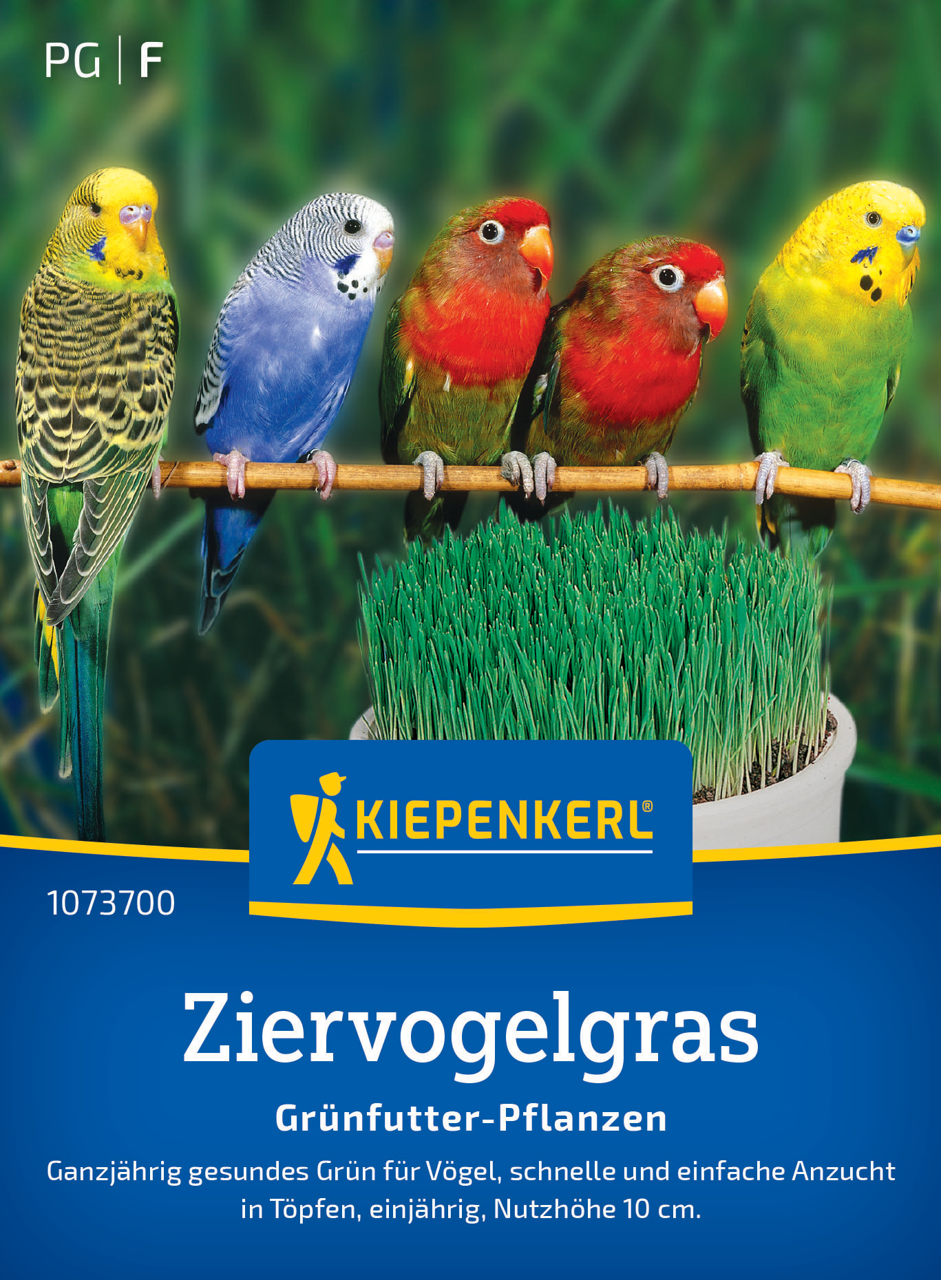 Ziervogelgras Frischgrün Mischung