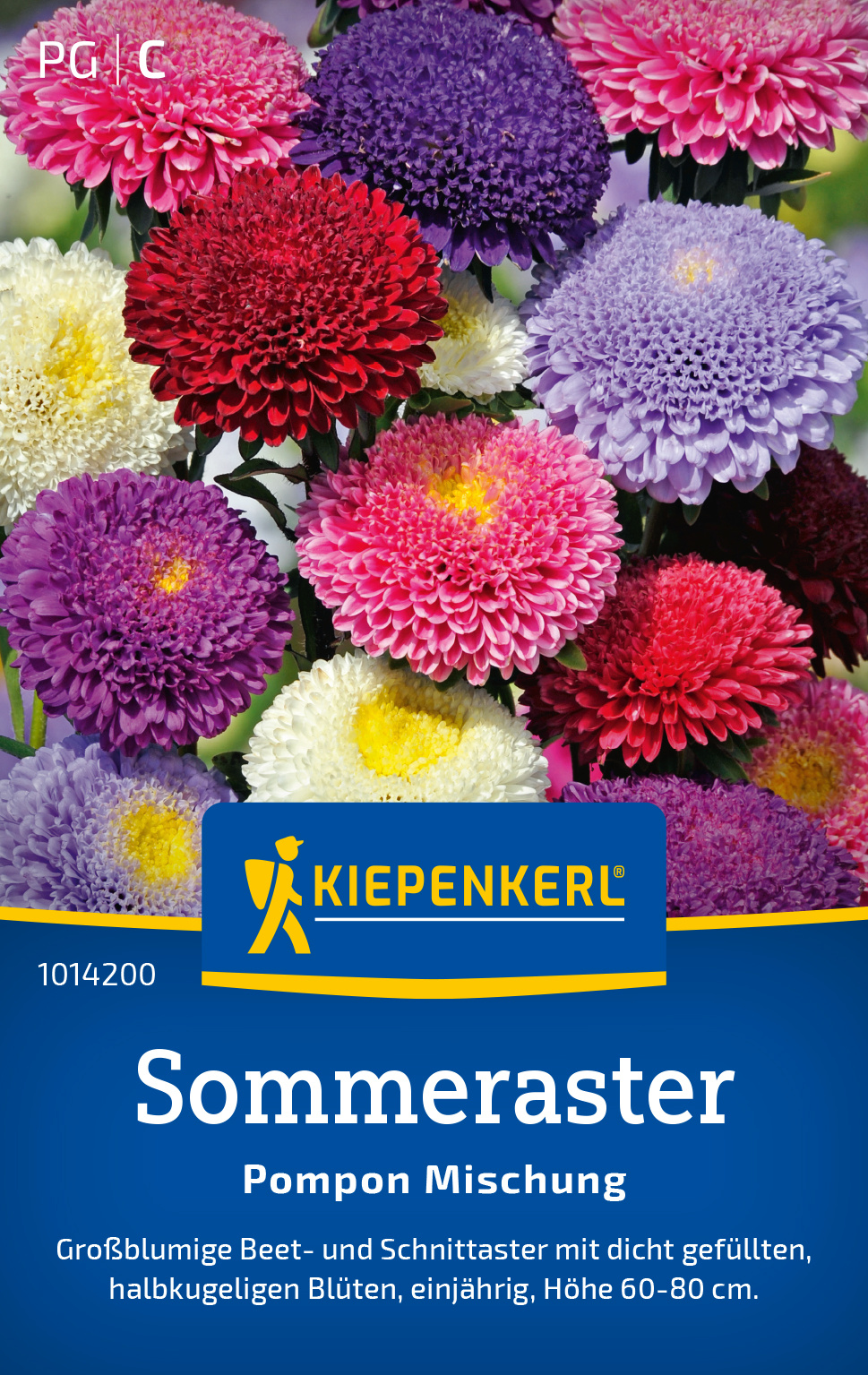 Sommeraster Pompon Mischung