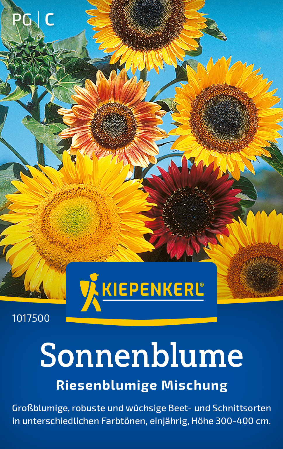 Sonnenblume Riesenblumige Mischung