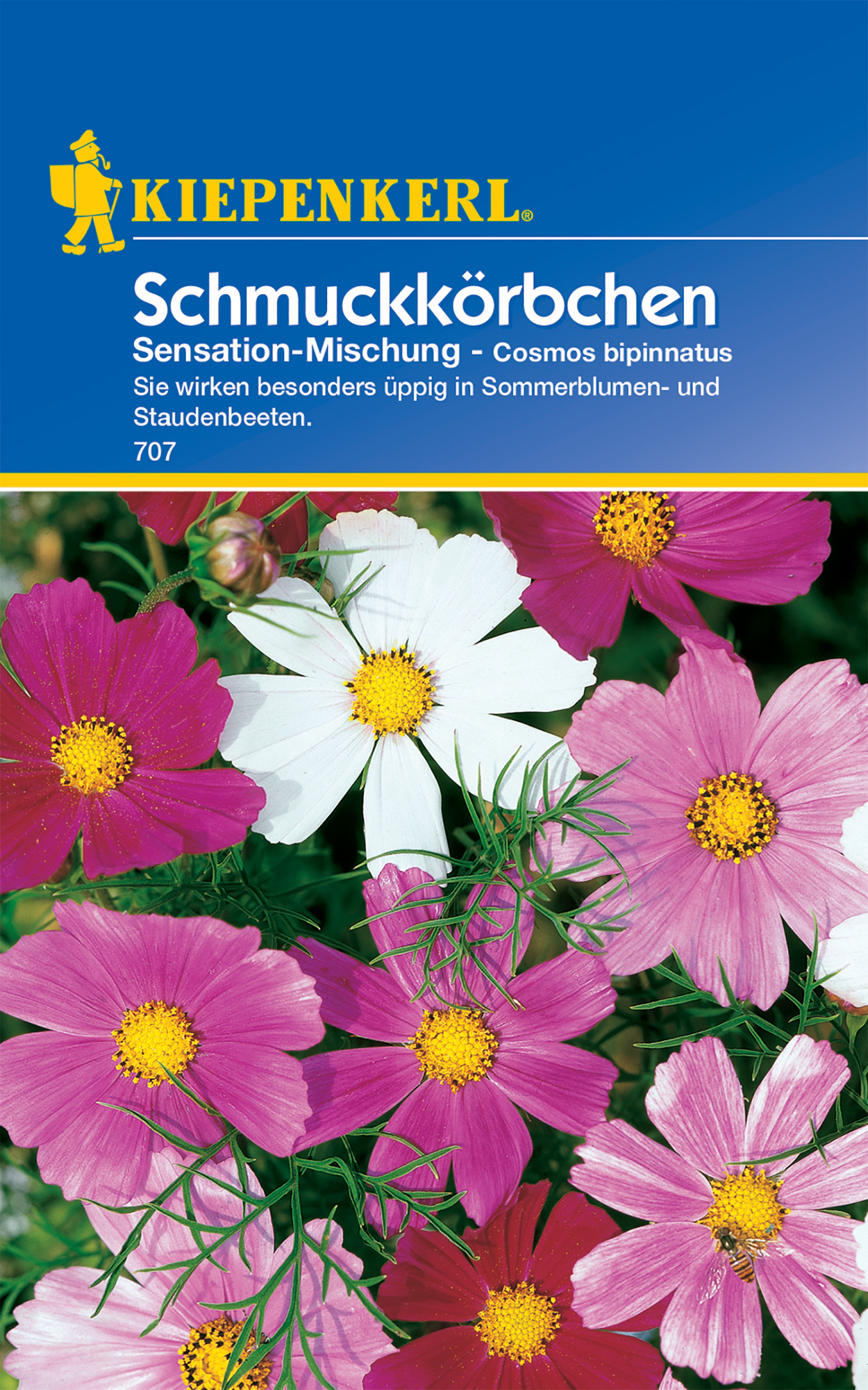 Schmuckkörchen Sensation-Mischung