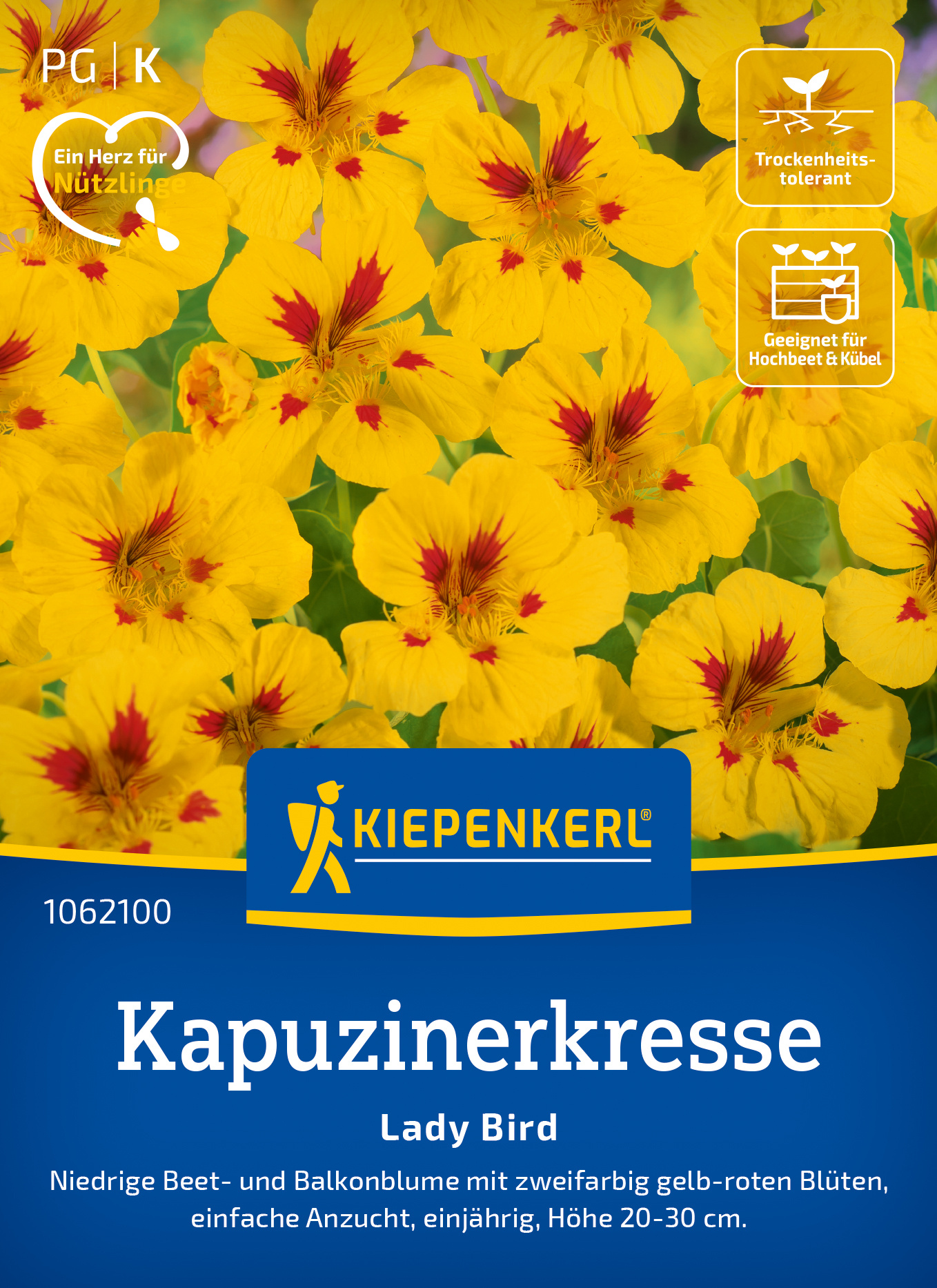 Kapuzinerkresse Lady Bird