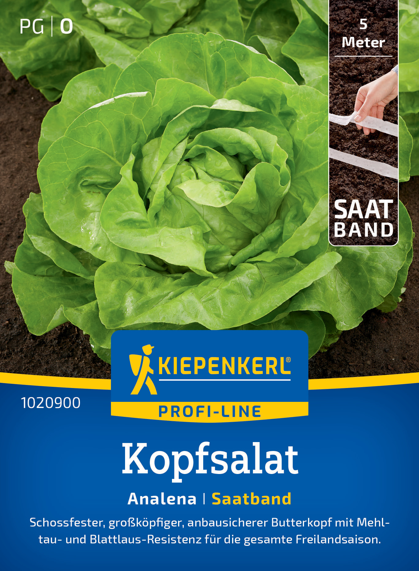 Kopfsalat Analena, Saatband