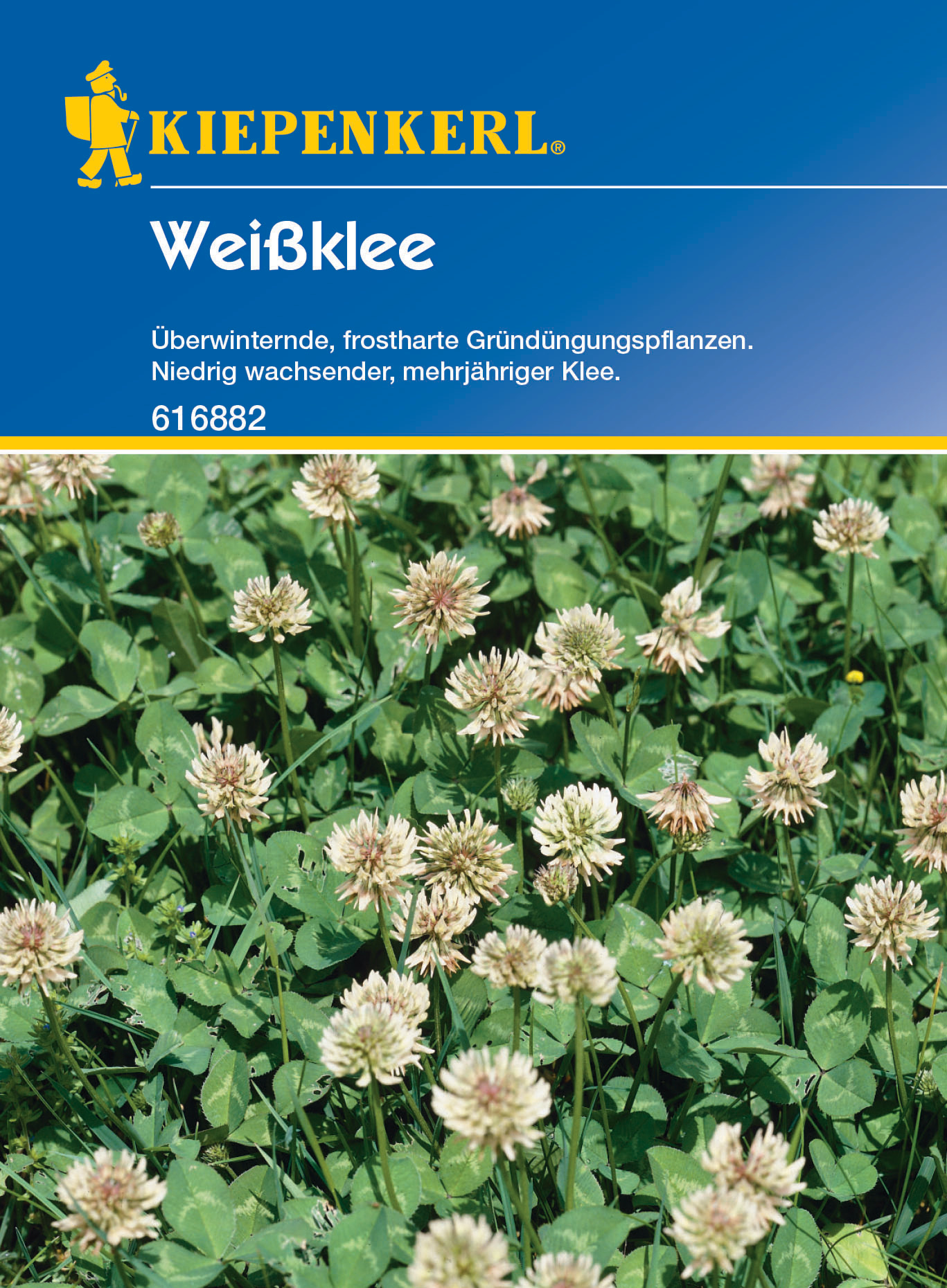 Weissklee, 60 g