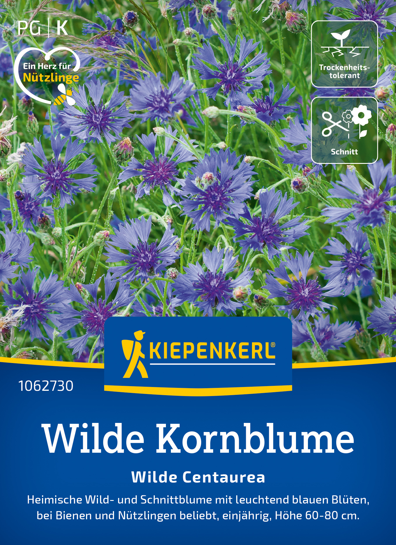 Wilde Kornblume