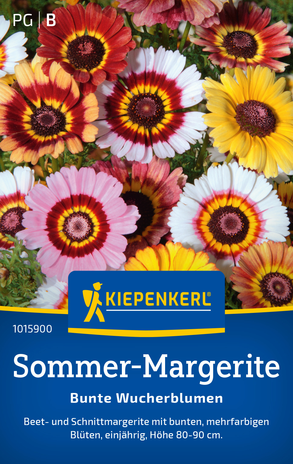 Sommer-Margerite Bunte Wucherblumen