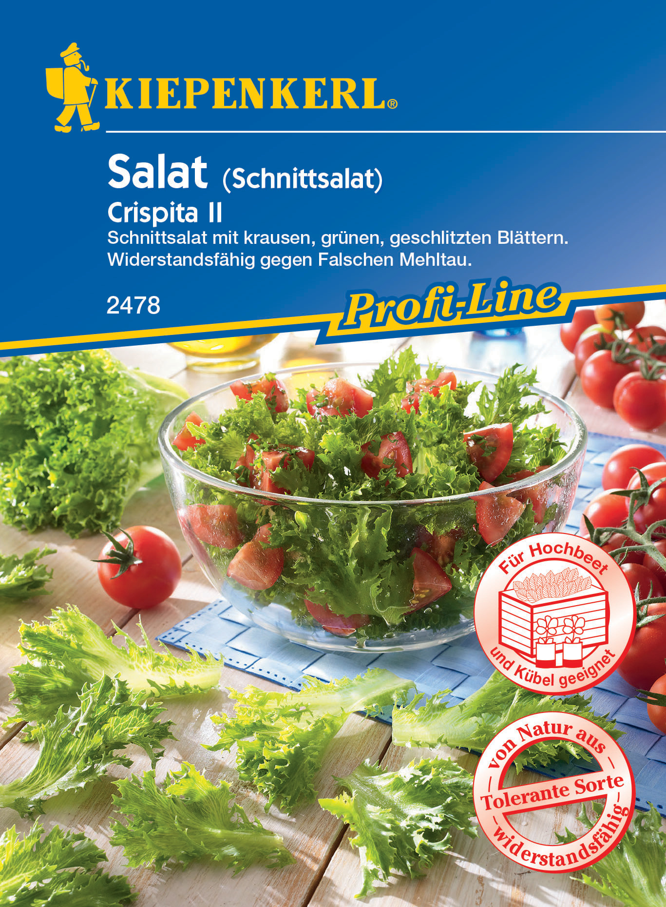 Schnittsalat Crispita II