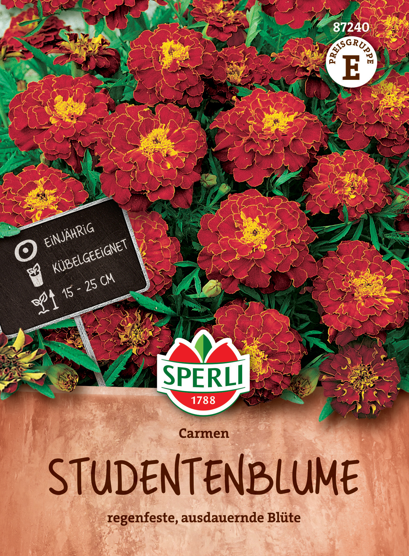 Studentenblume Carmen