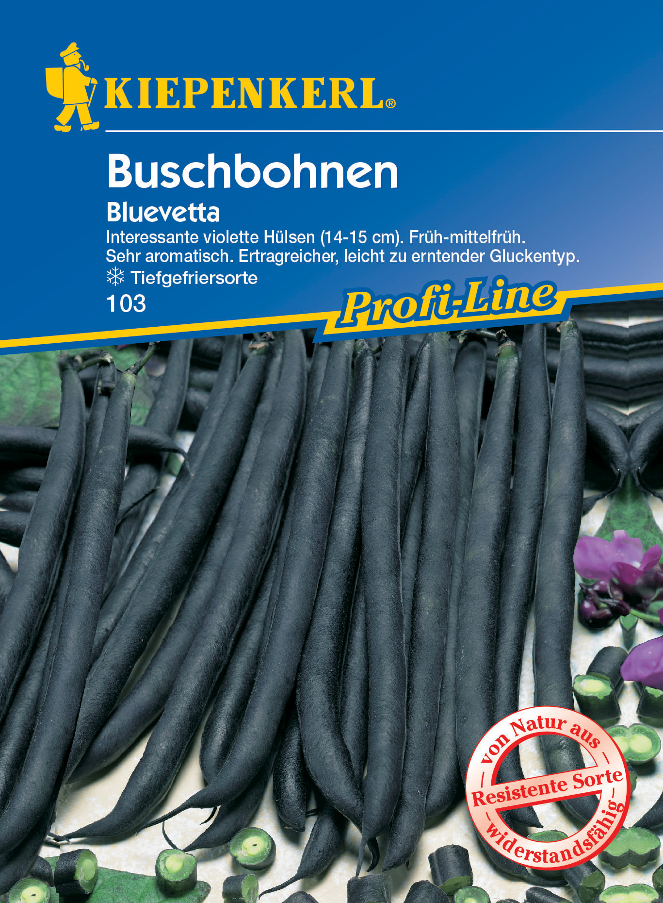 Buschbohne Bluevetta