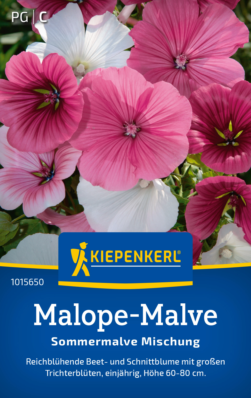 Malope-Malve Sommermalve Mischung