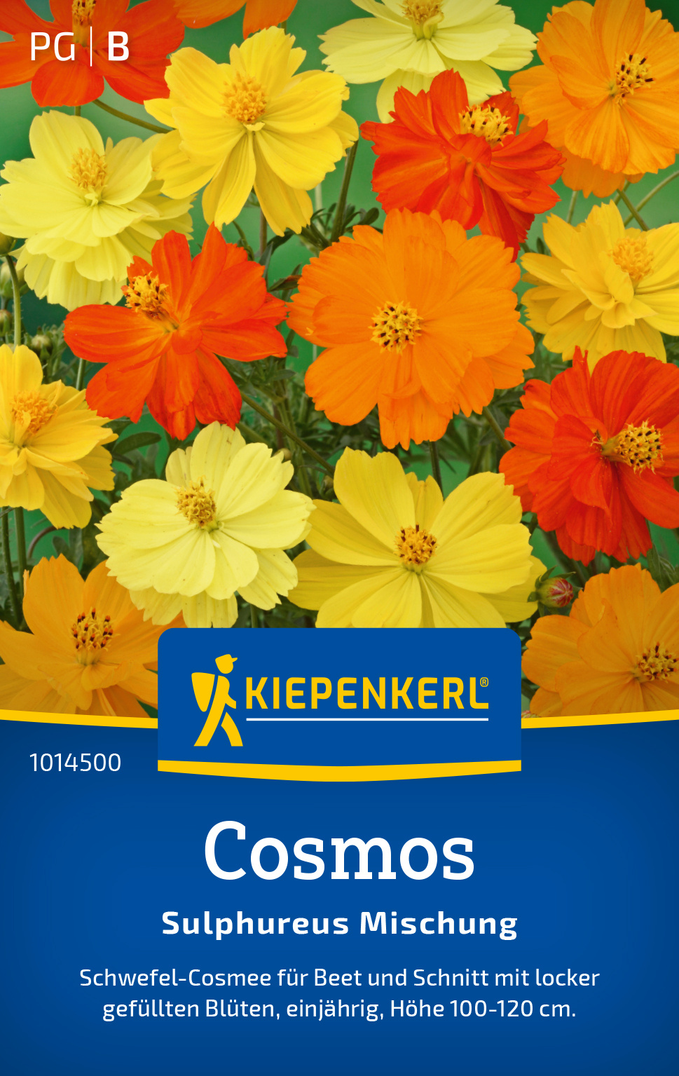 Cosmos Sulphureus Mischung