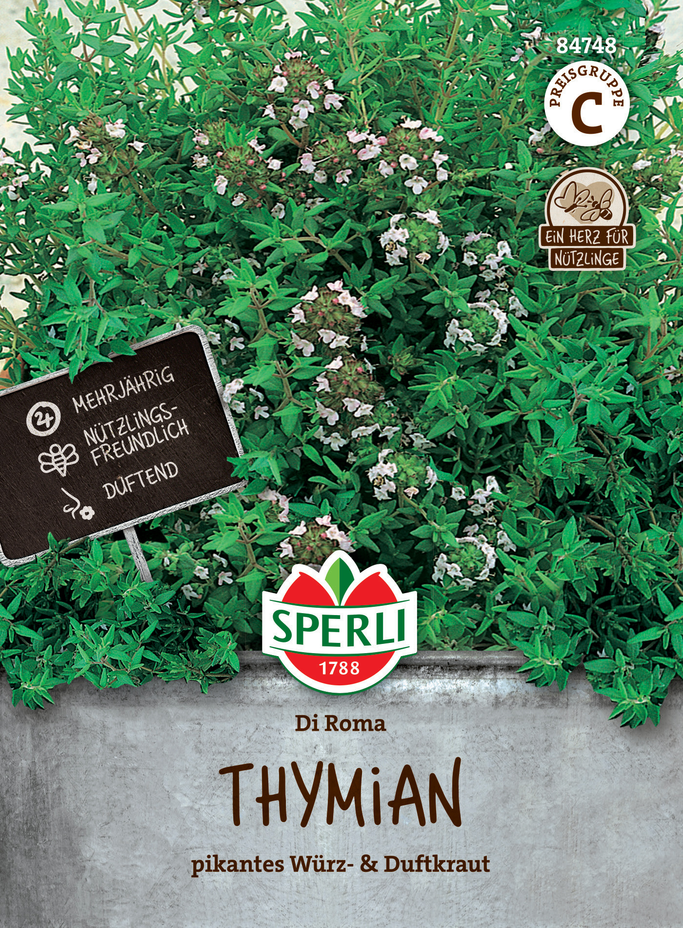 Thymian Di Roma