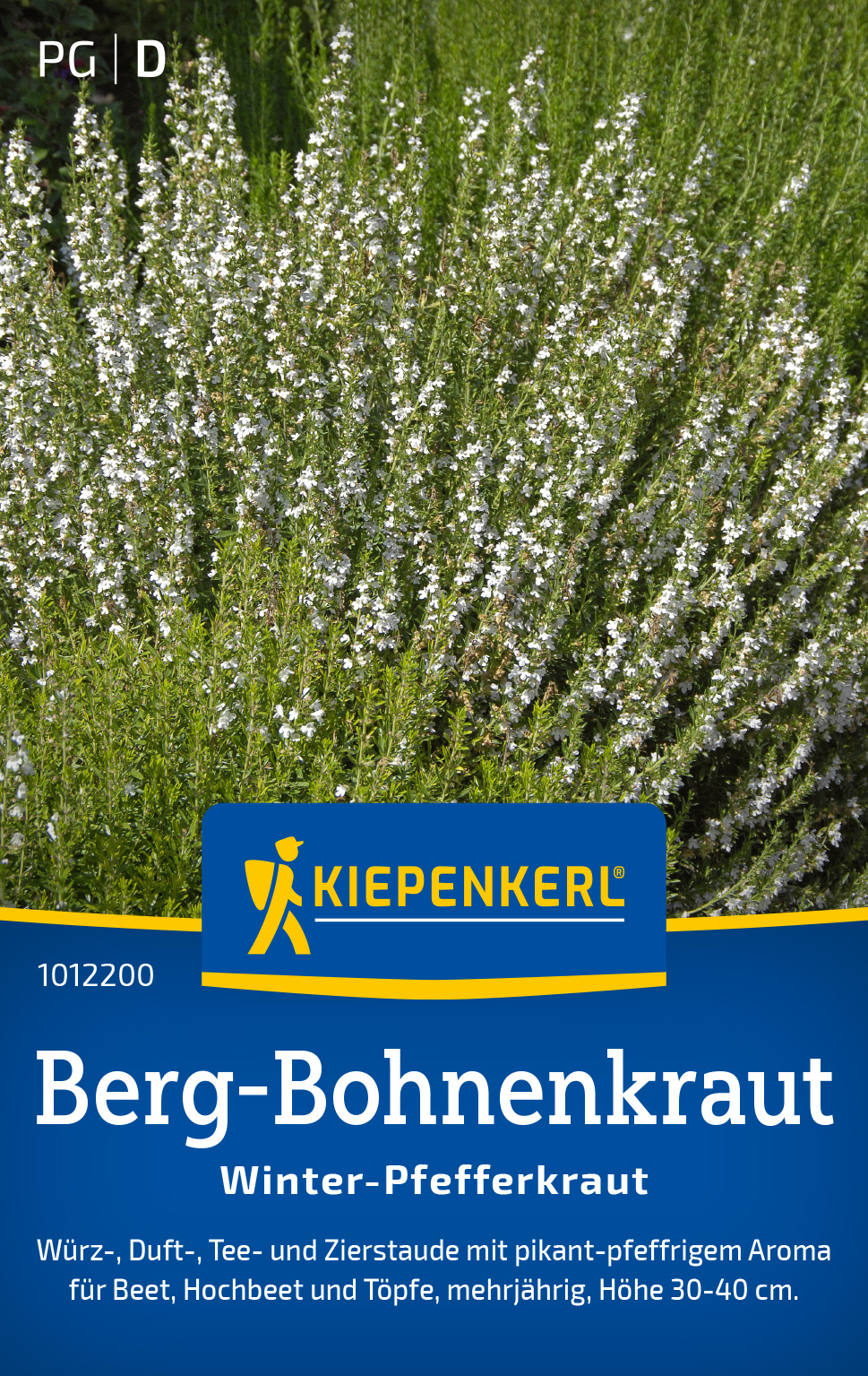 Berg-Bohnenkraut Winter-Pfefferkraut