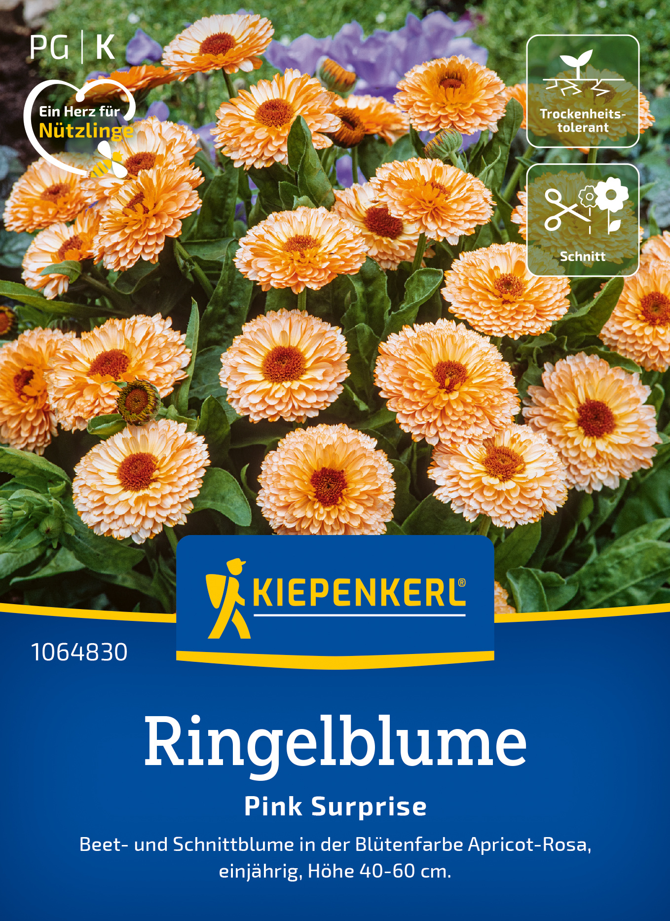 Ringelblume Pink Surprise