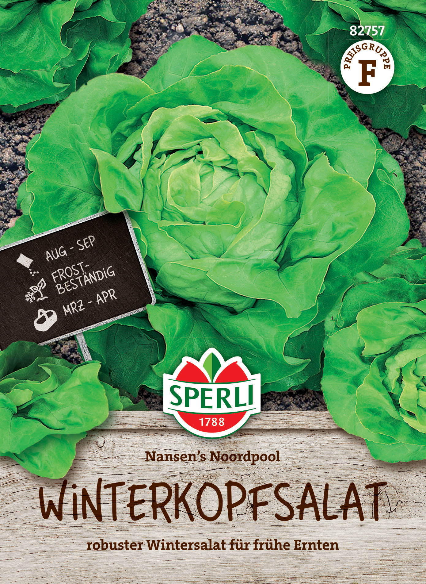 Winterkopfsalat Nansen's Noordpool