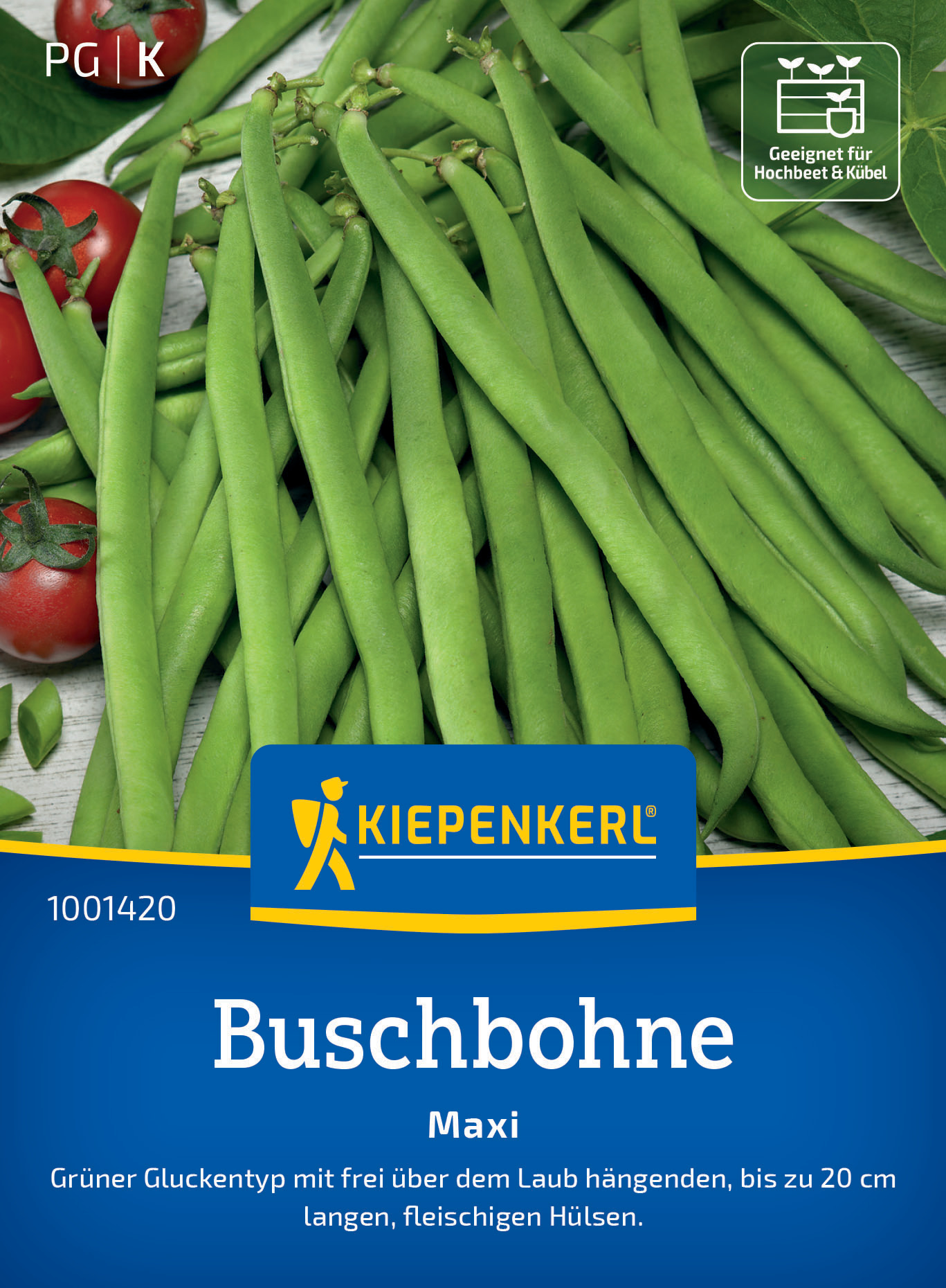 Buschbohne Maxi