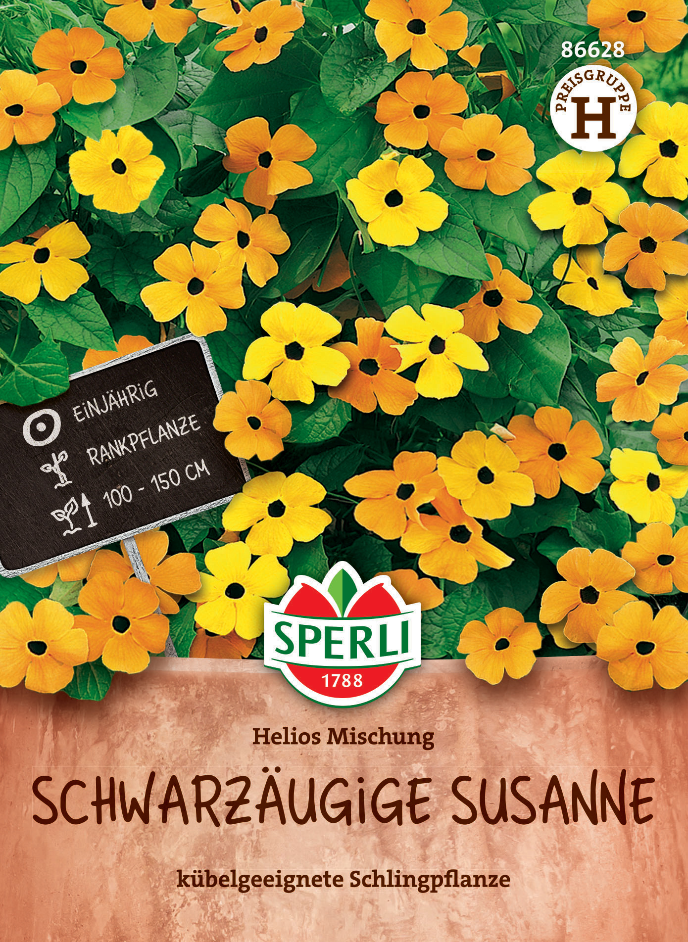 Schwarzäugige Susanne Helios Mischung