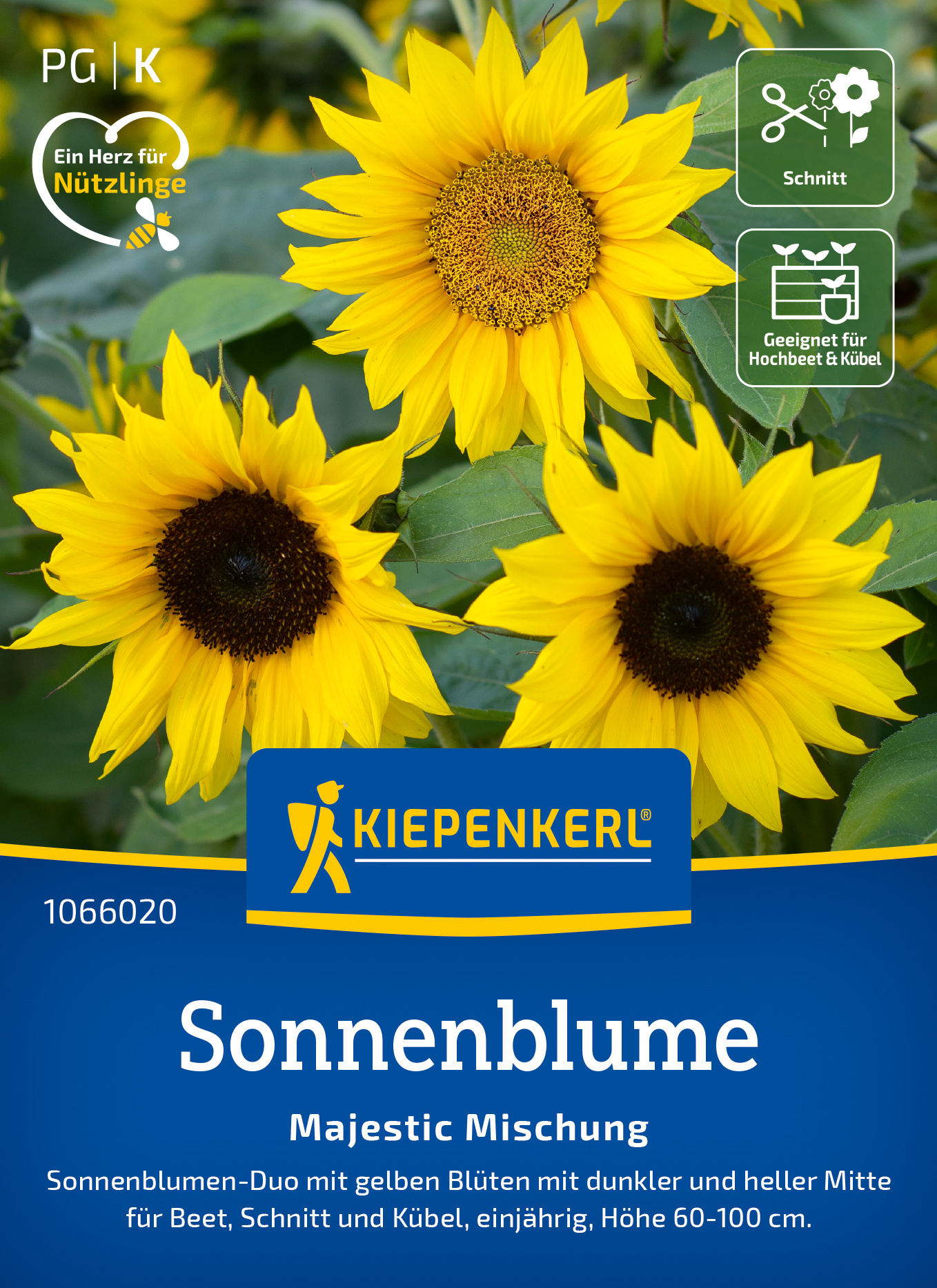 Sonnenblume Majestic Mischung