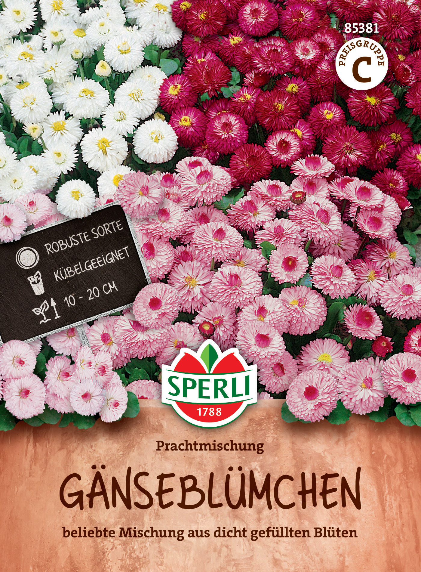 Gänseblümchen Prachtmischung