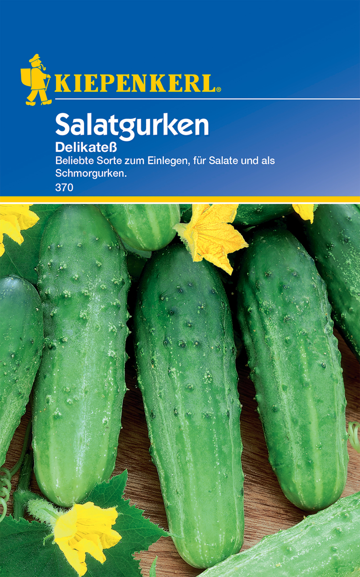 Salatgurke Delikateß