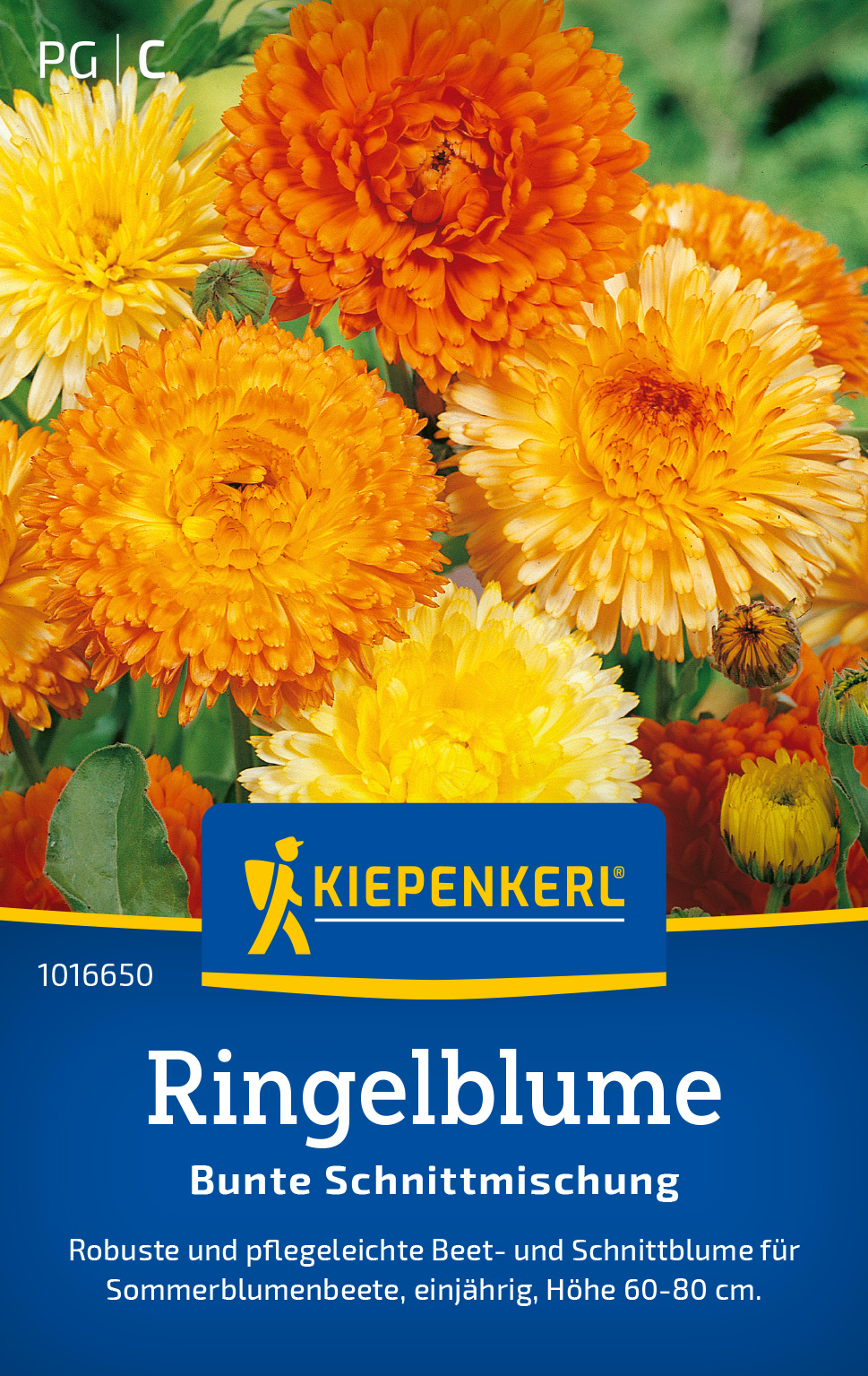 Ringelblume Bunte Schnittmischung