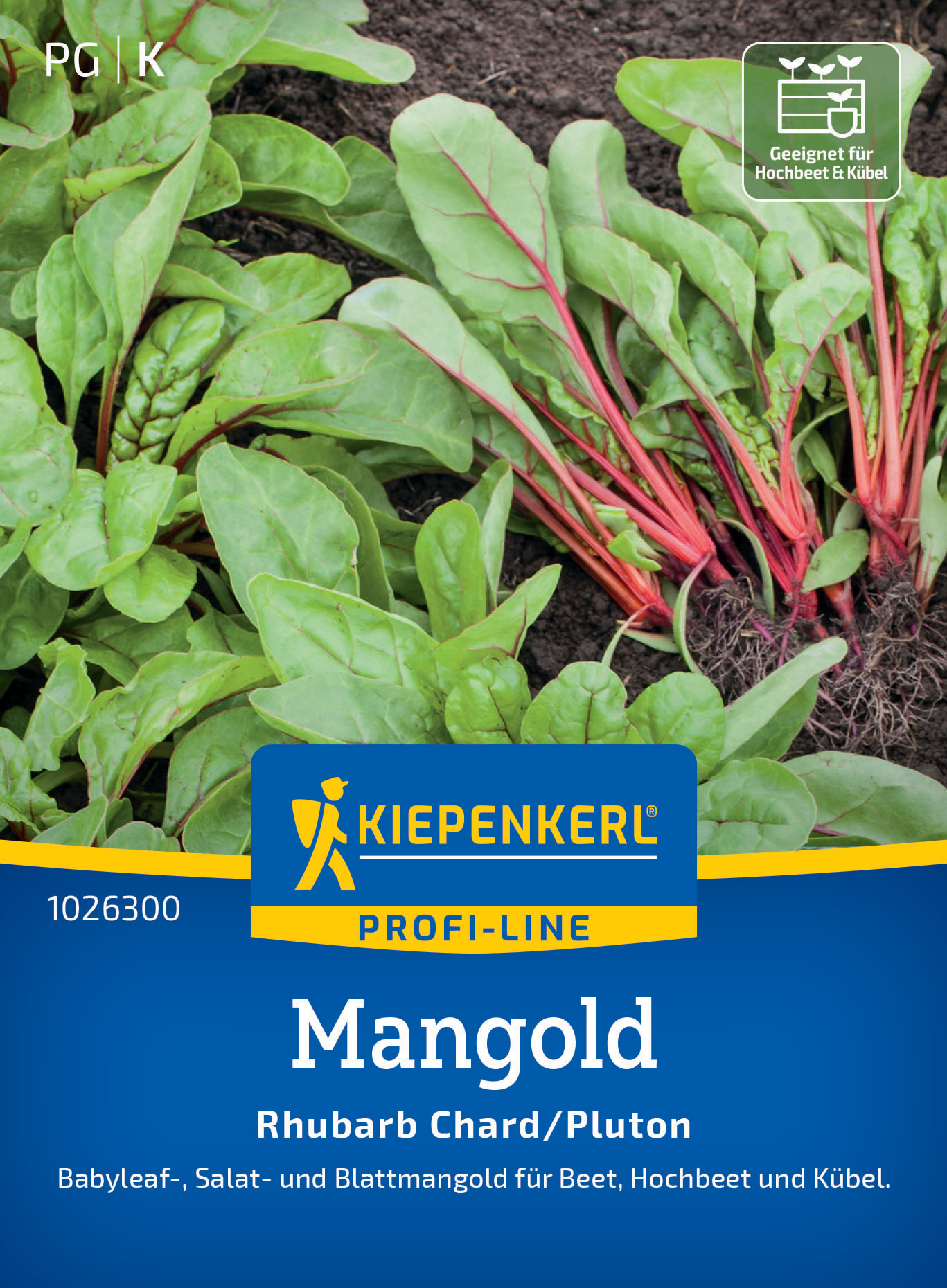 Mangold Rhubarb Chard/Pluton