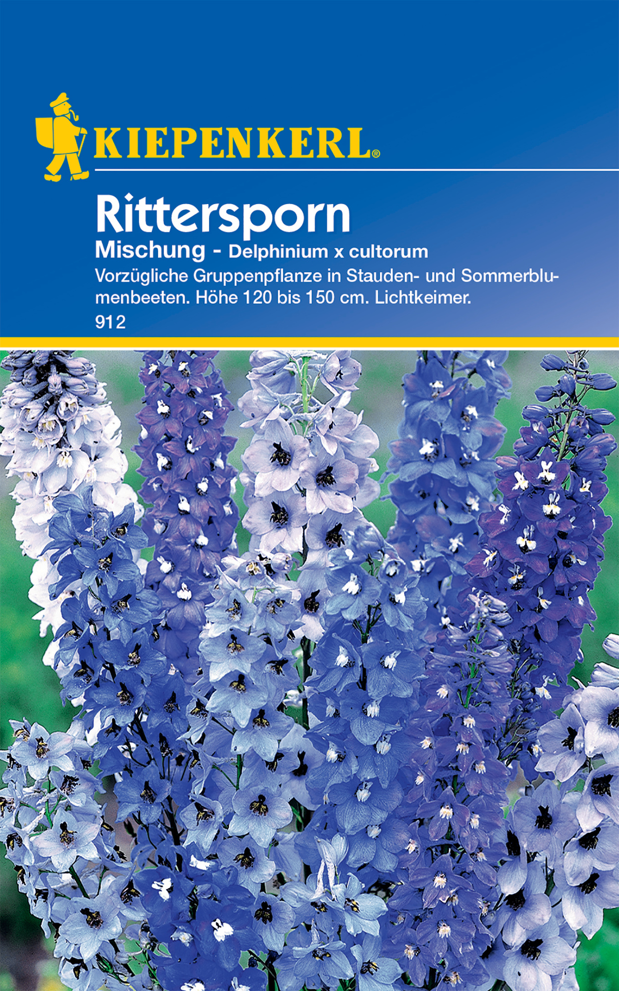 Rittersporn Mischung